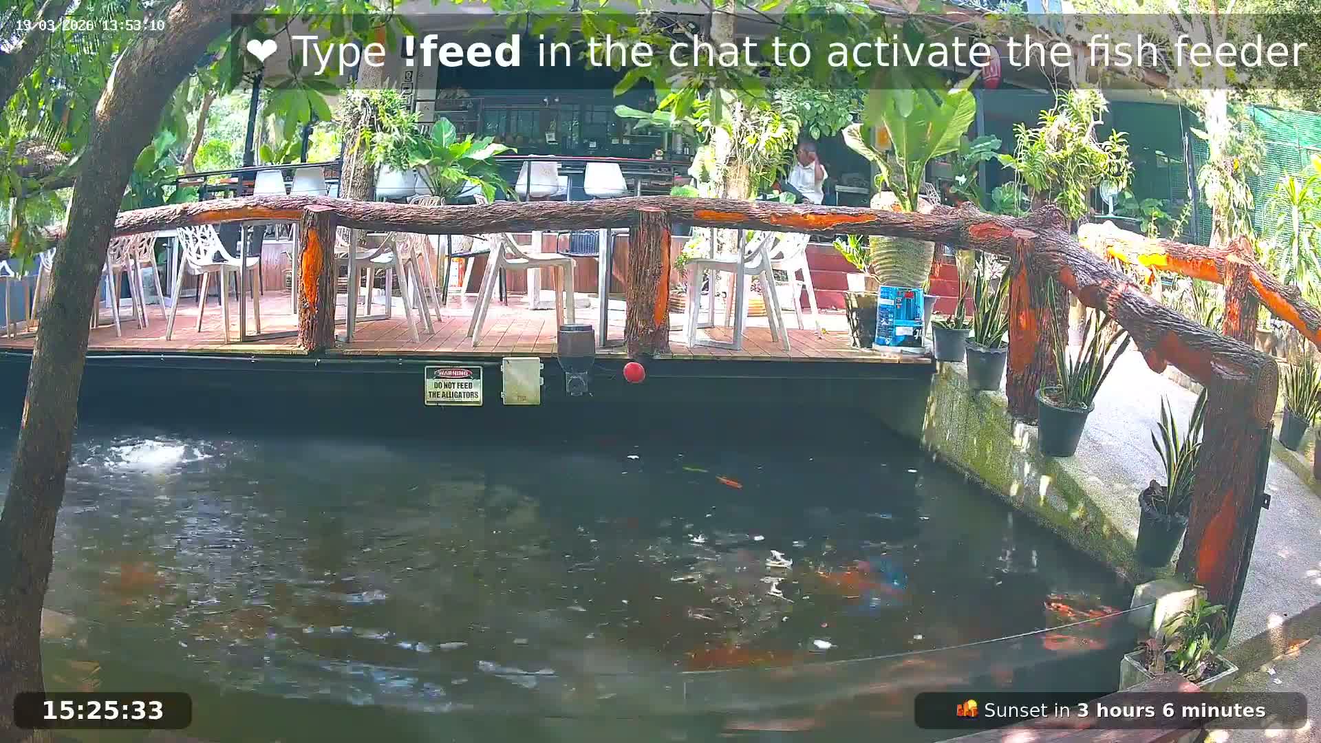 Zoo Cafe · Feed the Life of Fishes, Emus, Deers, Turtles, Malas  Live Cam  - Amphoe Ko Pha - Ngan, Surat Thani, Thailand