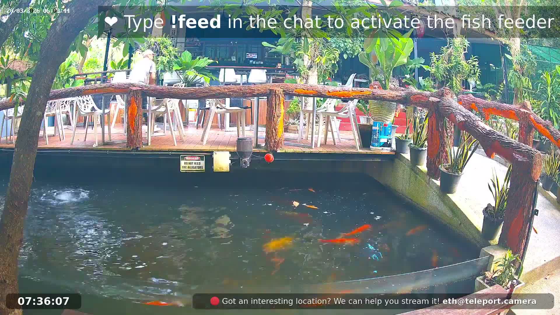 Zoo Cafe · Feed the Life of Fishes, Emus, Deers, Turtles, Malas  Live Cam  - Amphoe Ko Pha - Ngan, Surat Thani, Thailand