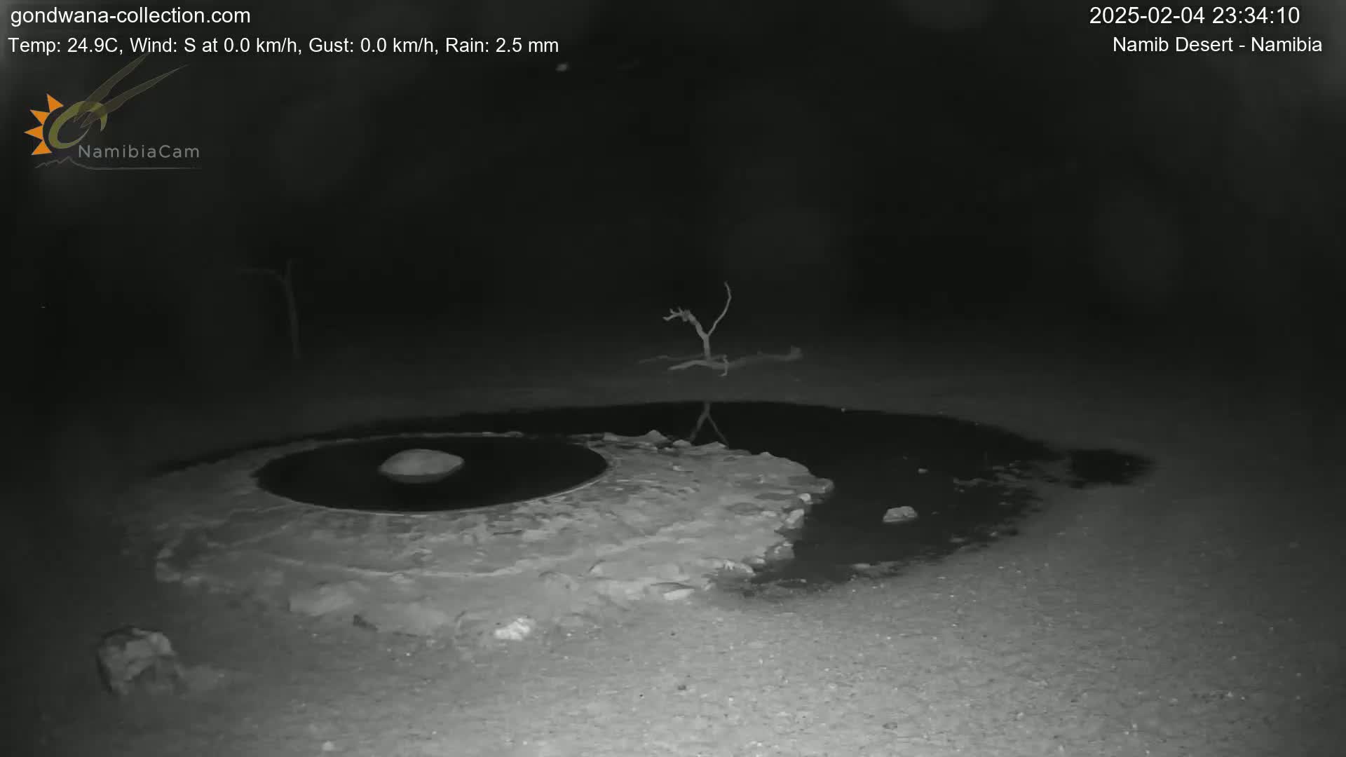 A nighttime, low-light image shows a shallow, dark pool of water partially surrounding a rocky structure under a dark sky with light rain.