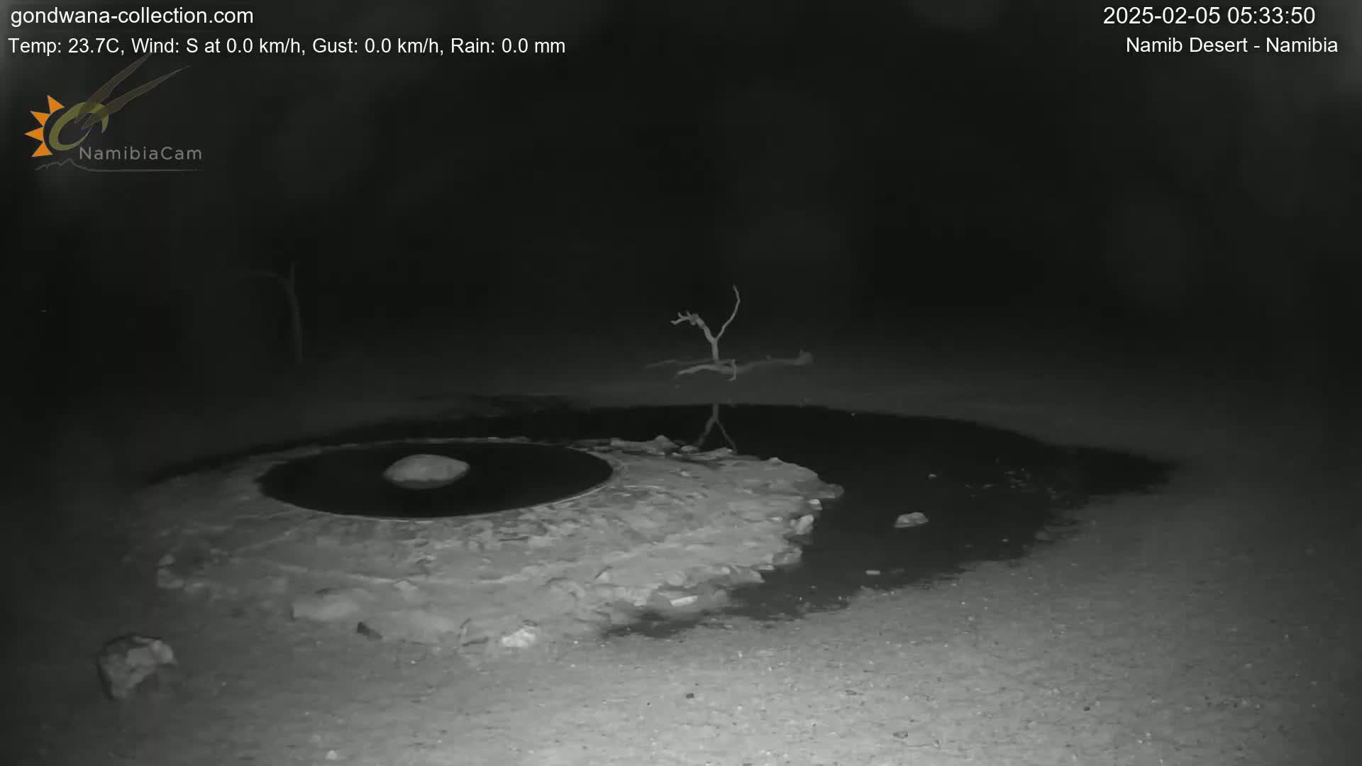 Wild Life in Namib Desert Naukluft National Park Live Cam - Maltahohe, Hardap,  Namibia