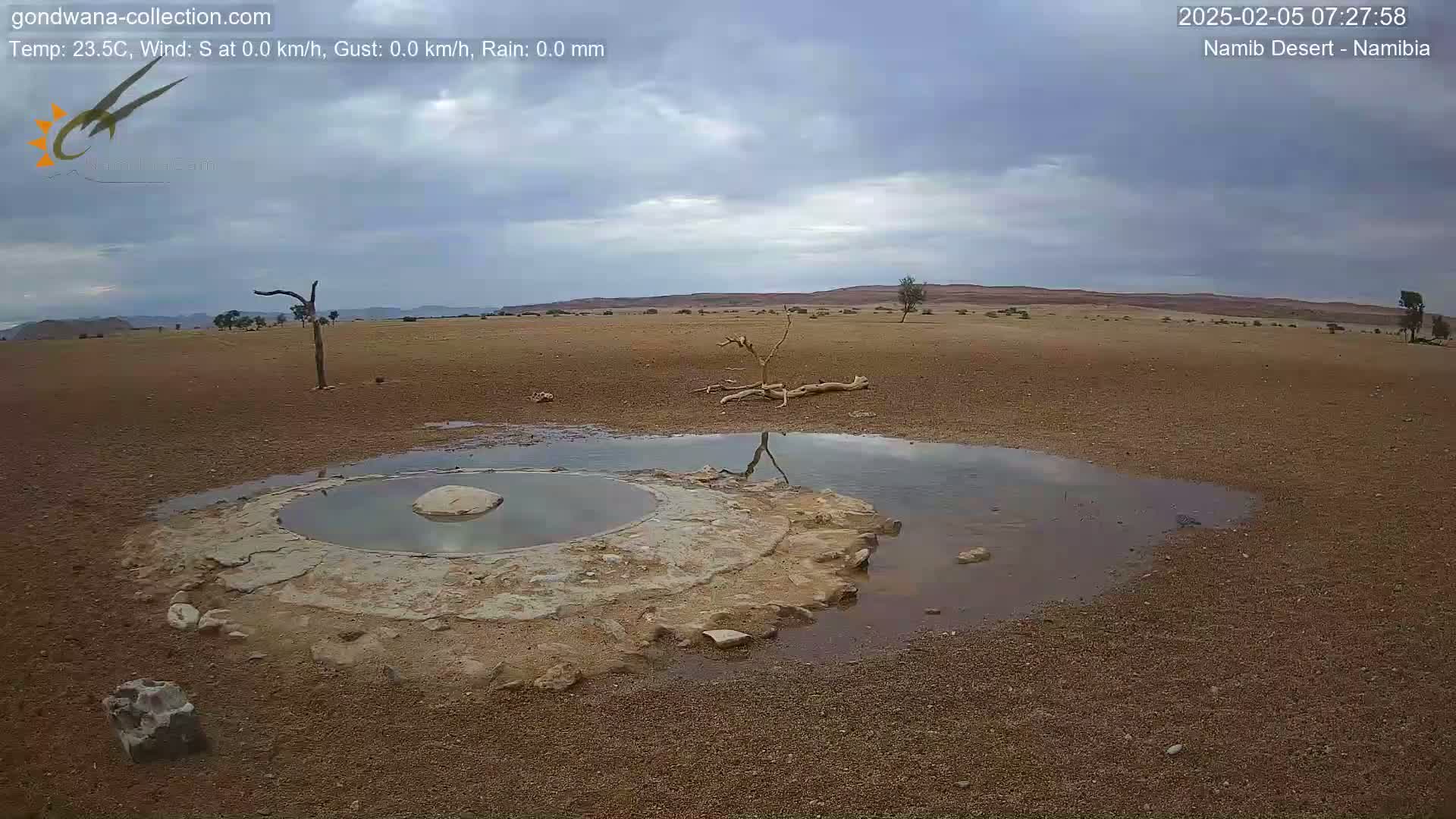 Wild Life in Namib Desert Naukluft National Park Live Cam - Maltahohe, Hardap,  Namibia