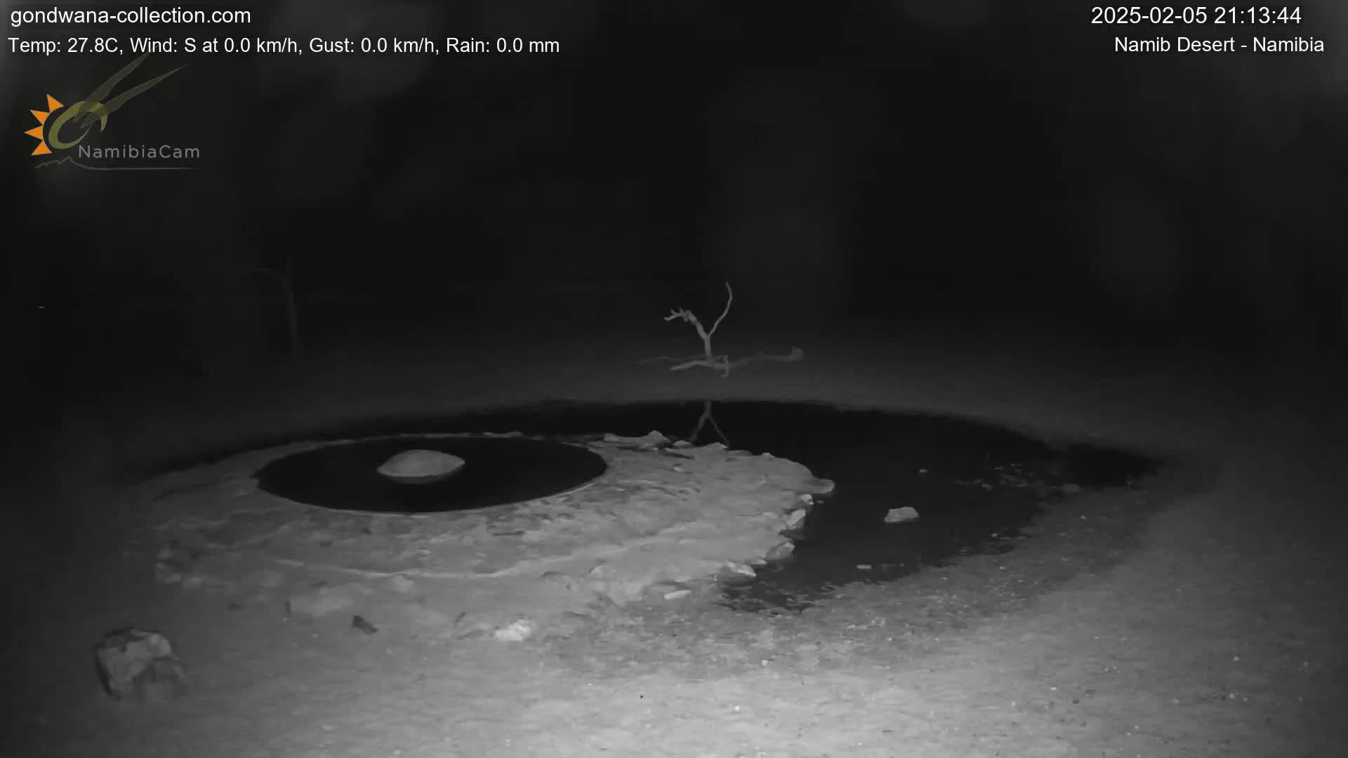 Wild Life in Namib Desert Naukluft National Park Live Cam - Maltahohe, Hardap,  Namibia