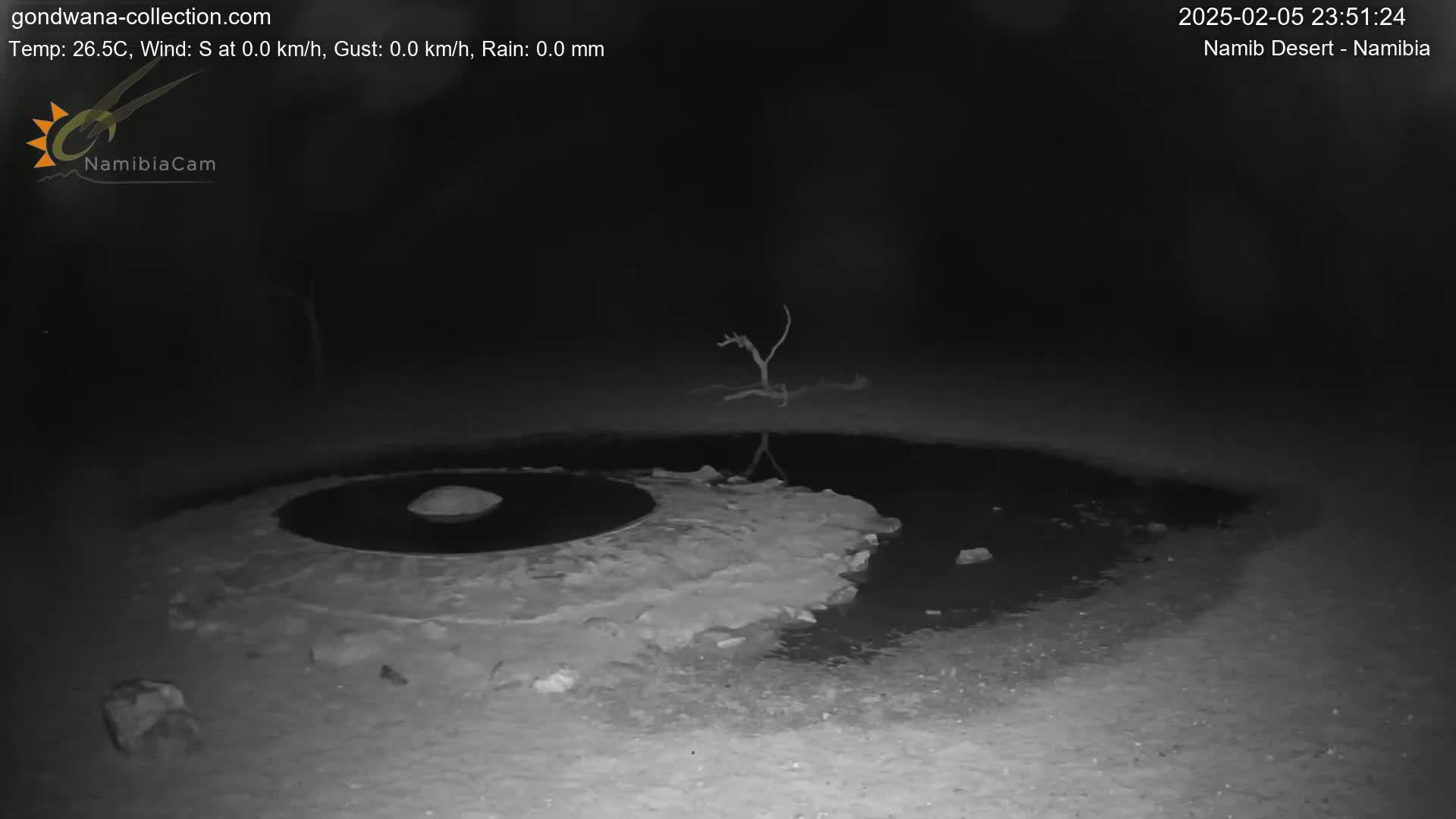 Wild Life in Namib Desert Naukluft National Park Live Cam - Maltahohe, Hardap,  Namibia