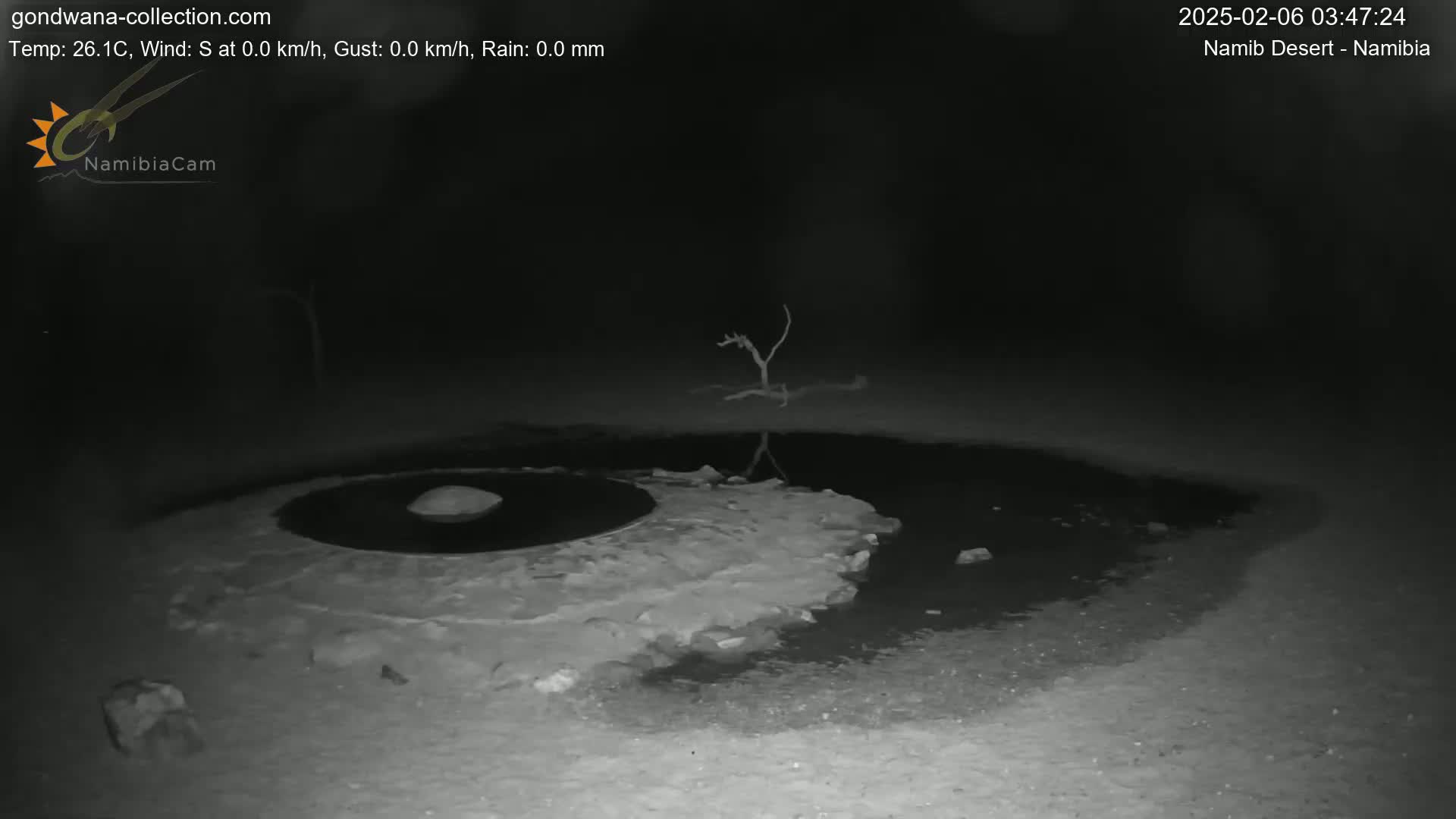 A nighttime infrared image shows a small, dark pool of water partially frozen over, with a dead tree reflected in the water and a rock in the center of the ice.