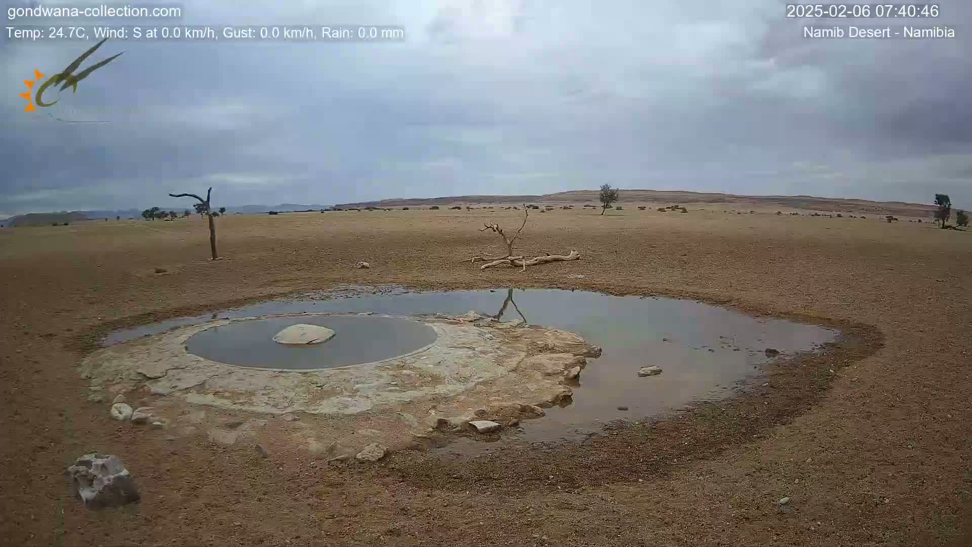 A small, shallow pool of water sits in a dry, desert landscape under an overcast sky.
