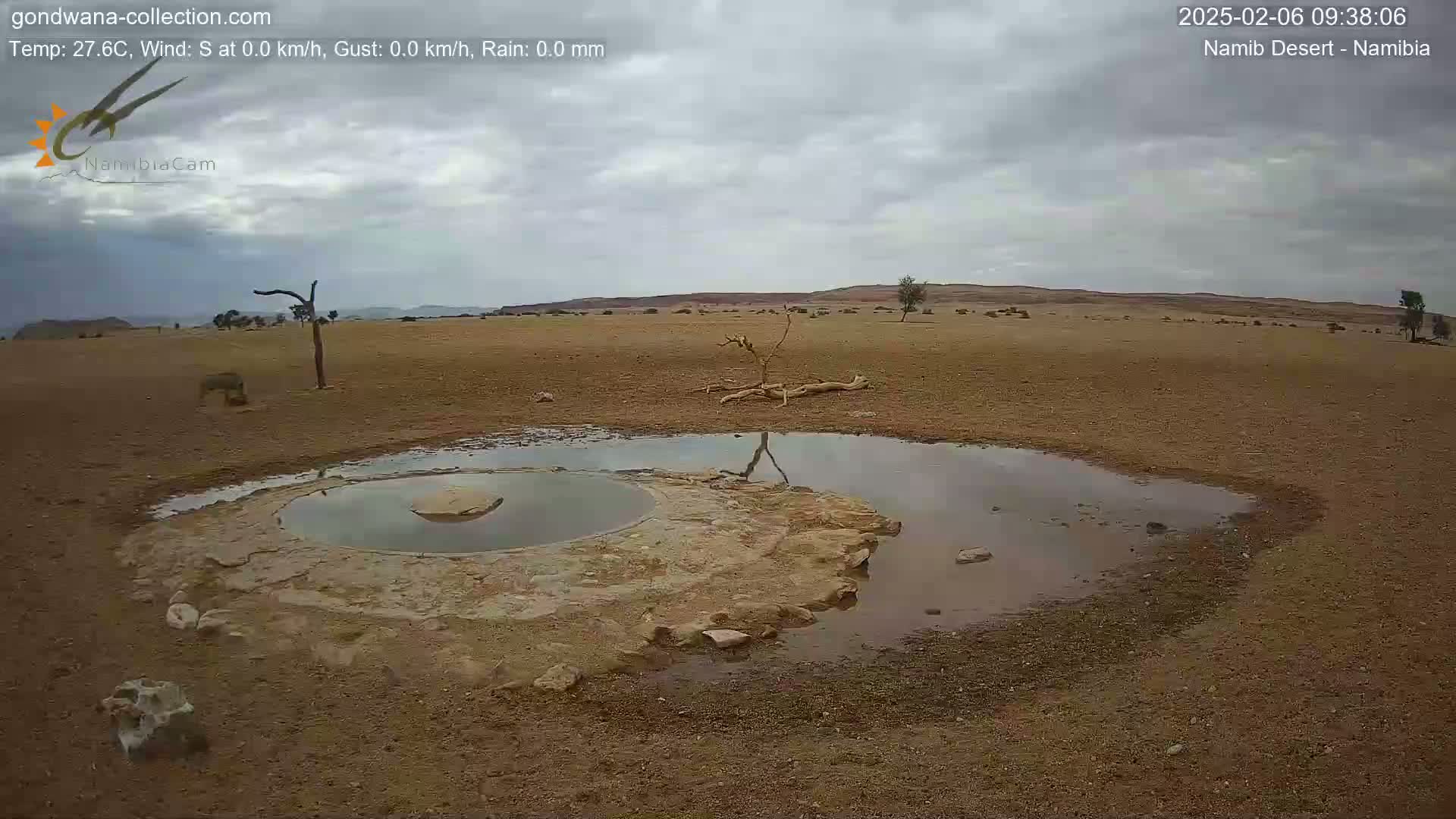 Wild Life in Namib Desert Naukluft National Park Live Cam - Maltahohe, Hardap,  Namibia