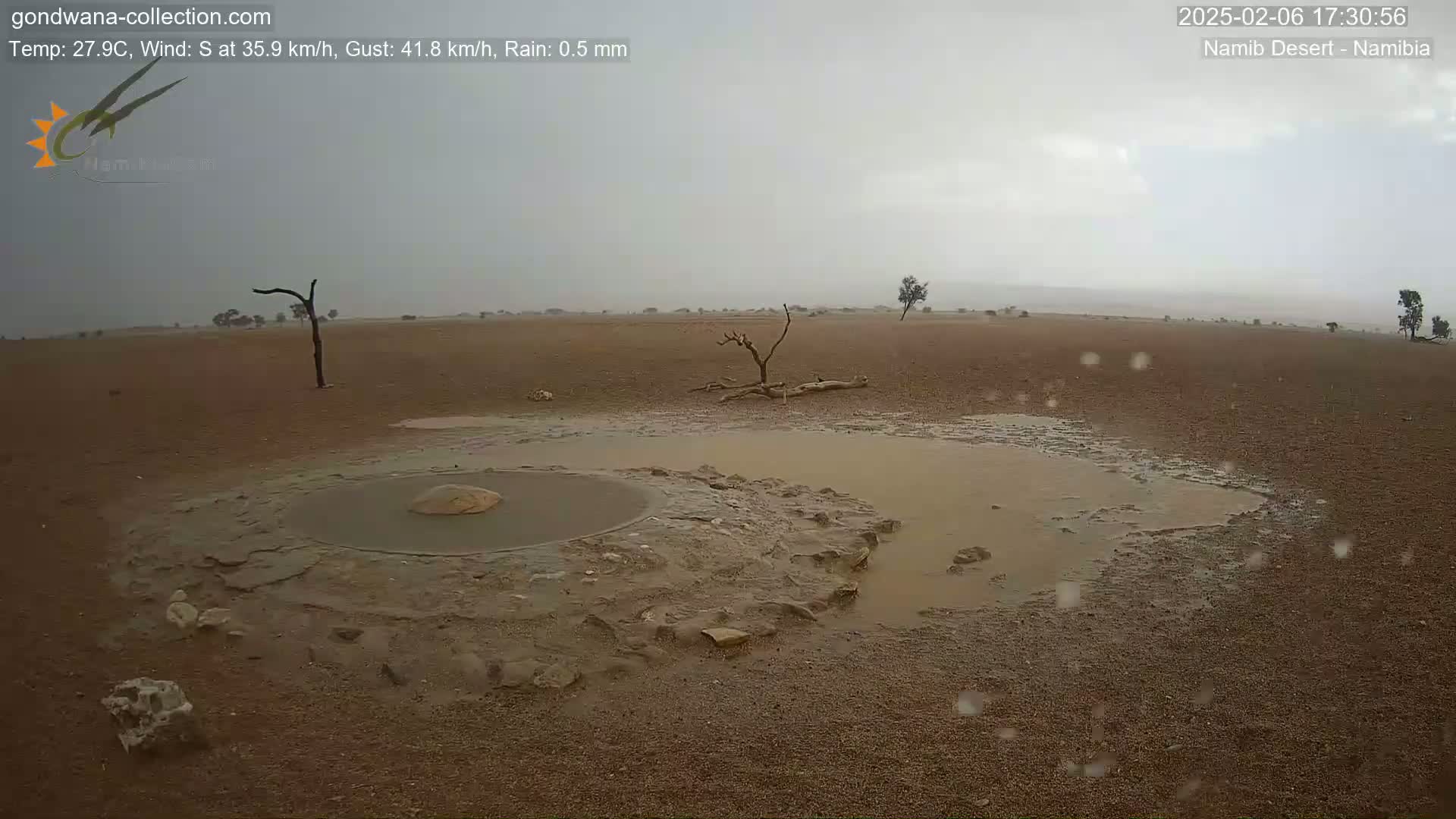 Wild Life in Namib Desert Naukluft National Park Live Cam - Maltahohe, Hardap,  Namibia