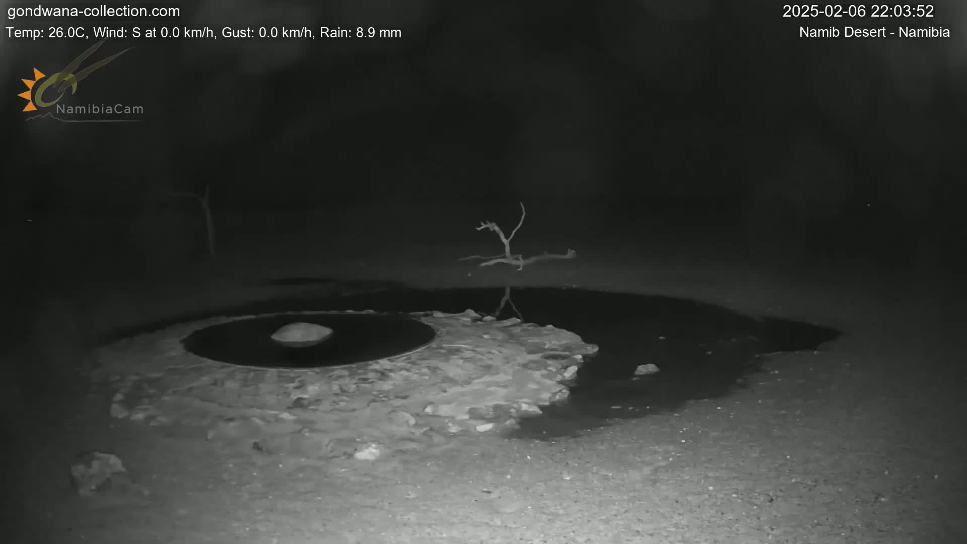 Wild Life in Namib Desert Naukluft National Park Live Cam - Maltahohe, Hardap,  Namibia