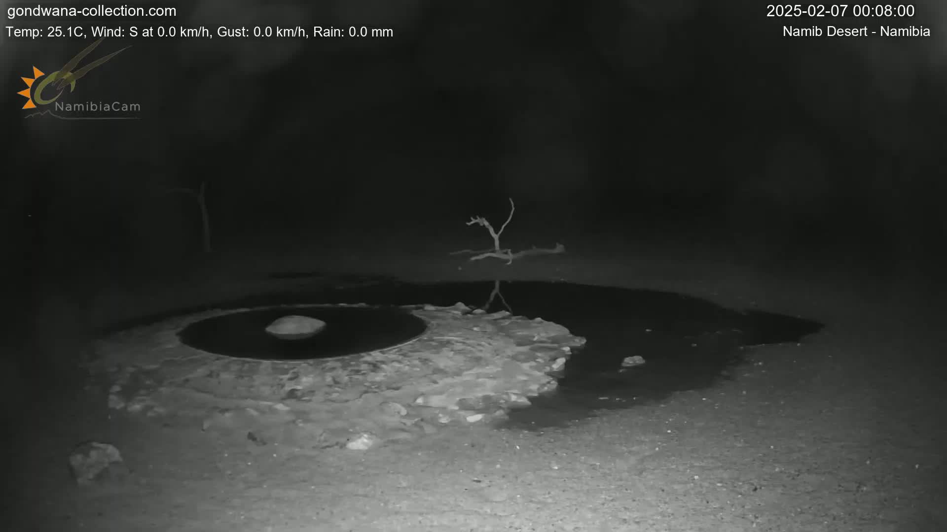 Wild Life in Namib Desert Naukluft National Park Live Cam - Maltahohe, Hardap,  Namibia