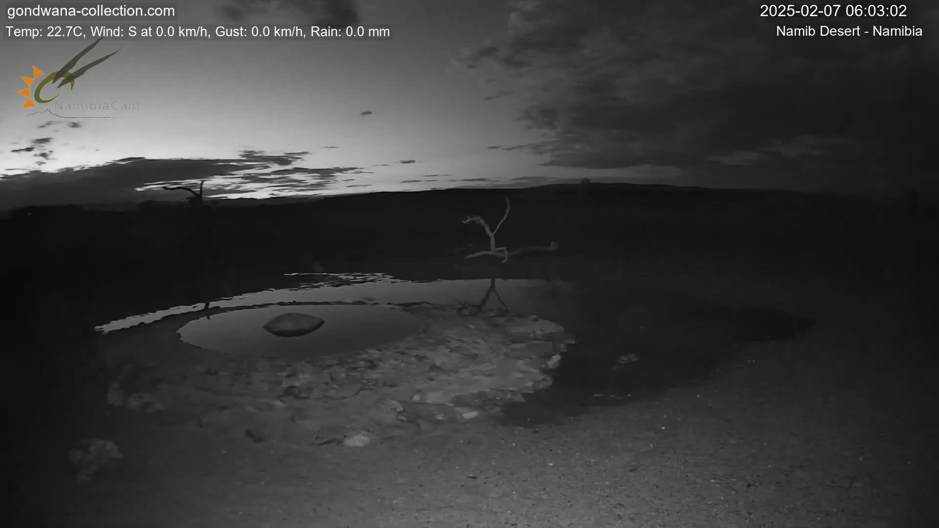 Wild Life in Namib Desert Naukluft National Park Live Cam - Maltahohe, Hardap,  Namibia