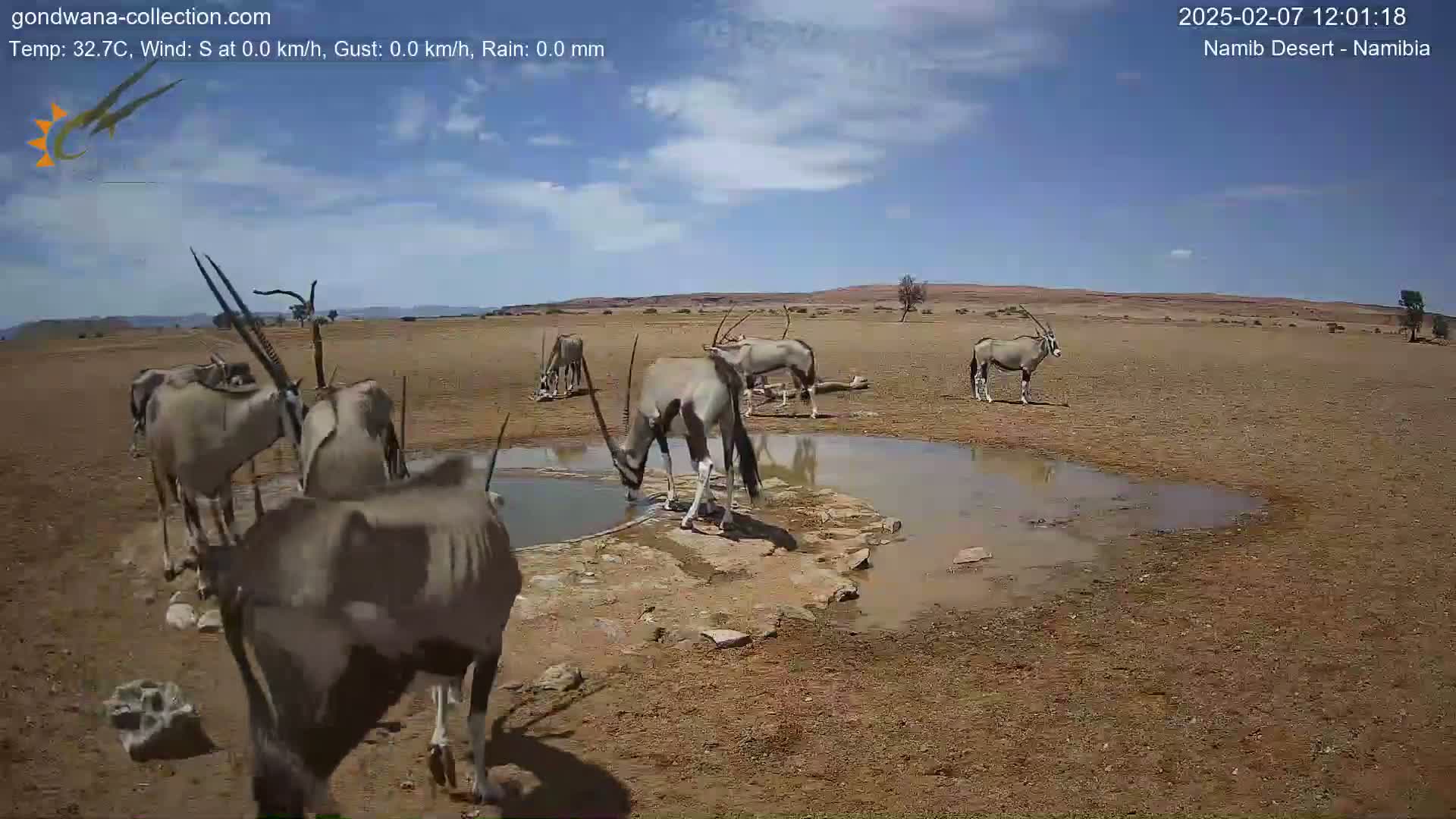 Wild Life in Namib Desert Naukluft National Park Live Cam - Maltahohe, Hardap,  Namibia