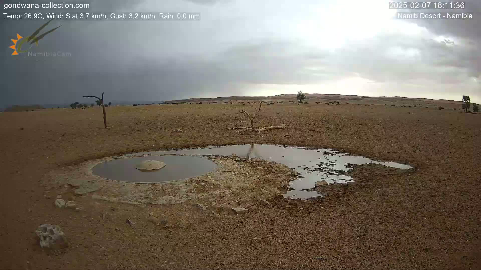 Wild Life in Namib Desert Naukluft National Park Live Cam - Maltahohe, Hardap,  Namibia