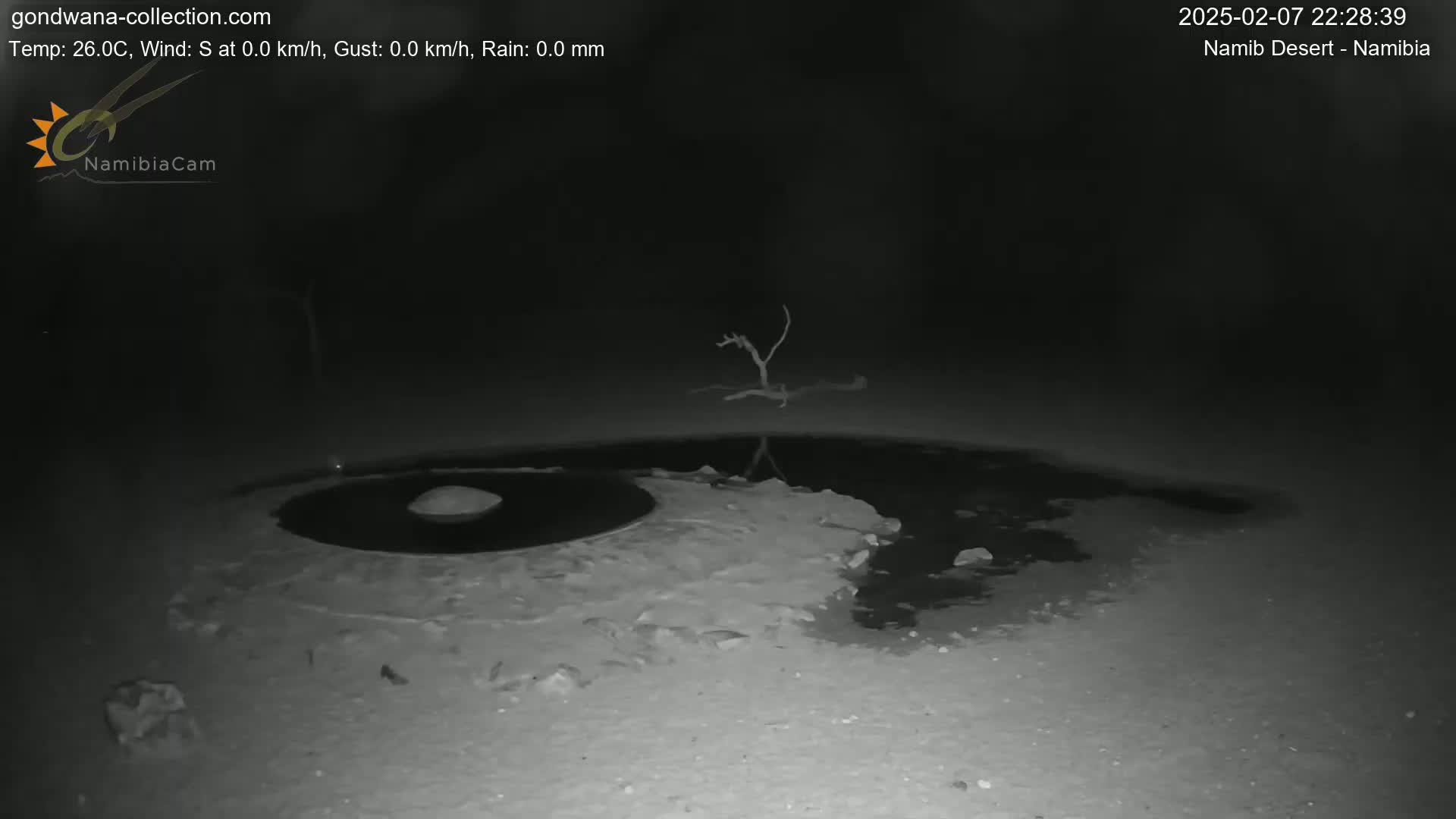 Wild Life in Namib Desert Naukluft National Park Live Cam - Maltahohe, Hardap,  Namibia
