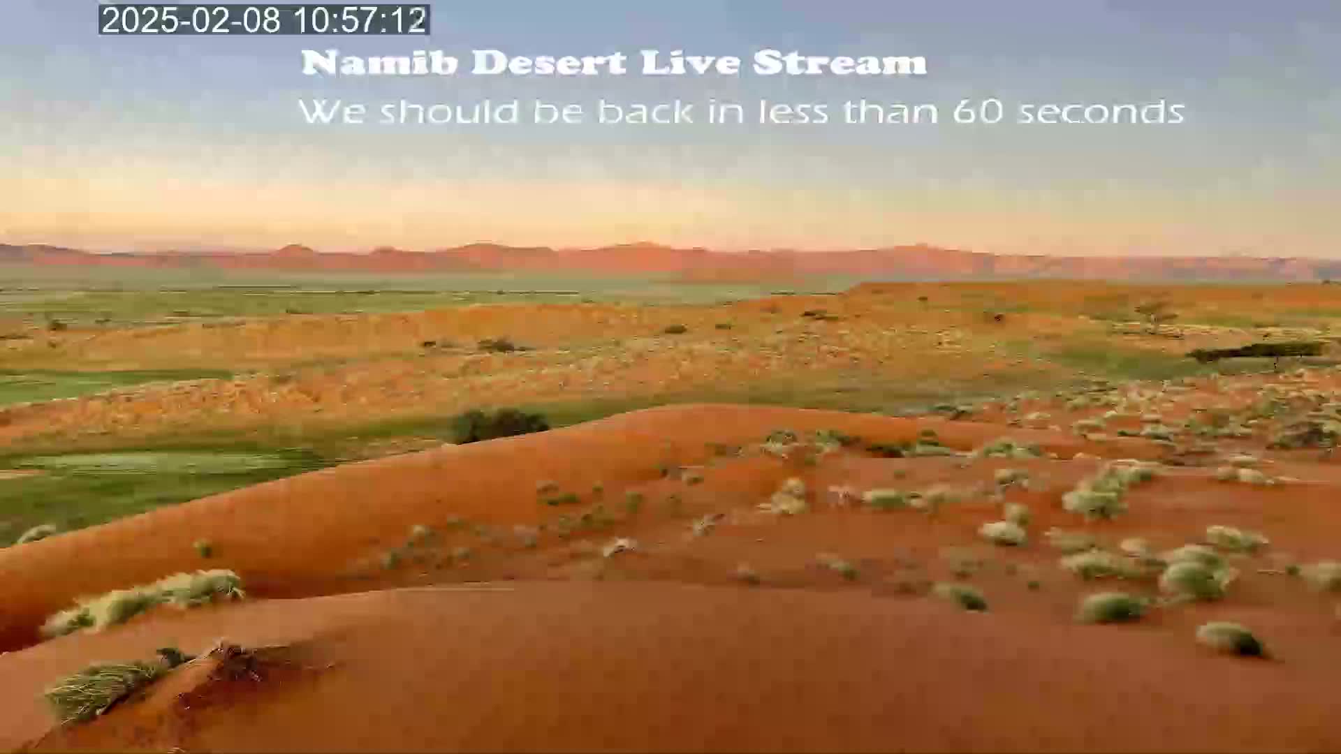 A wide shot of rolling orange sand dunes under a pale pink and orange sunset sky.