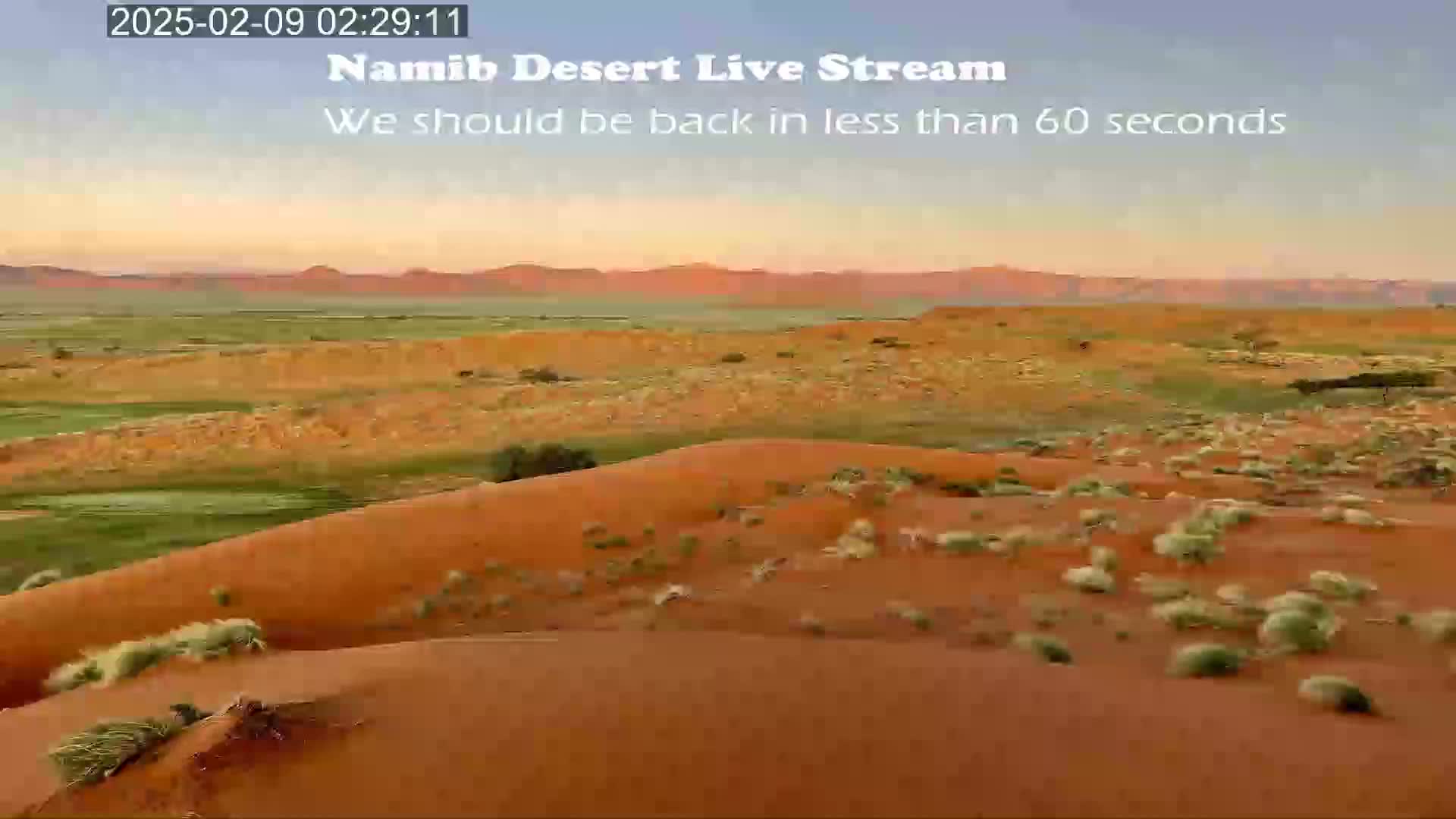 A wide shot of a desert landscape at dawn shows rolling sand dunes with sparse vegetation under a pale orange and blue sky.