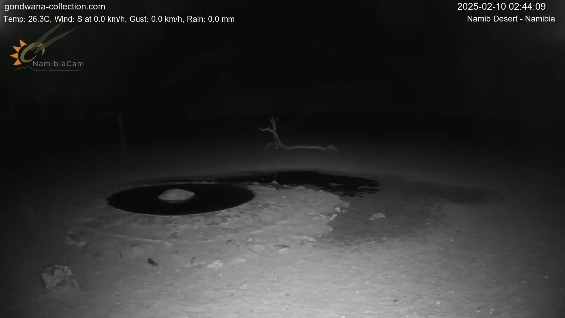 A dark, nighttime scene shows a circular puddle of water near a bare tree in a desert landscape.