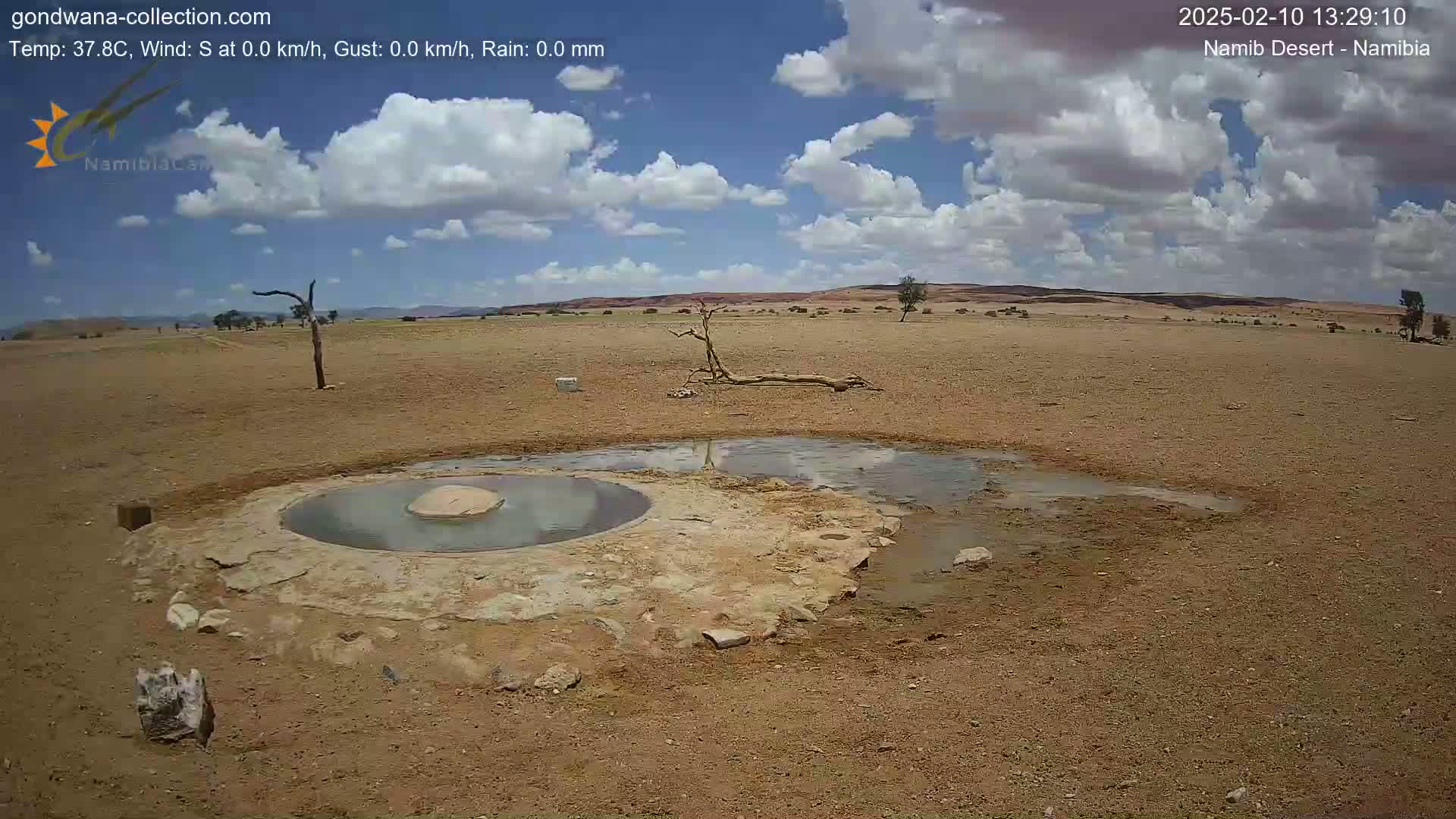 A mostly sunny desert landscape with a small, shallow pool of water near a dead tree, under a partly cloudy sky.