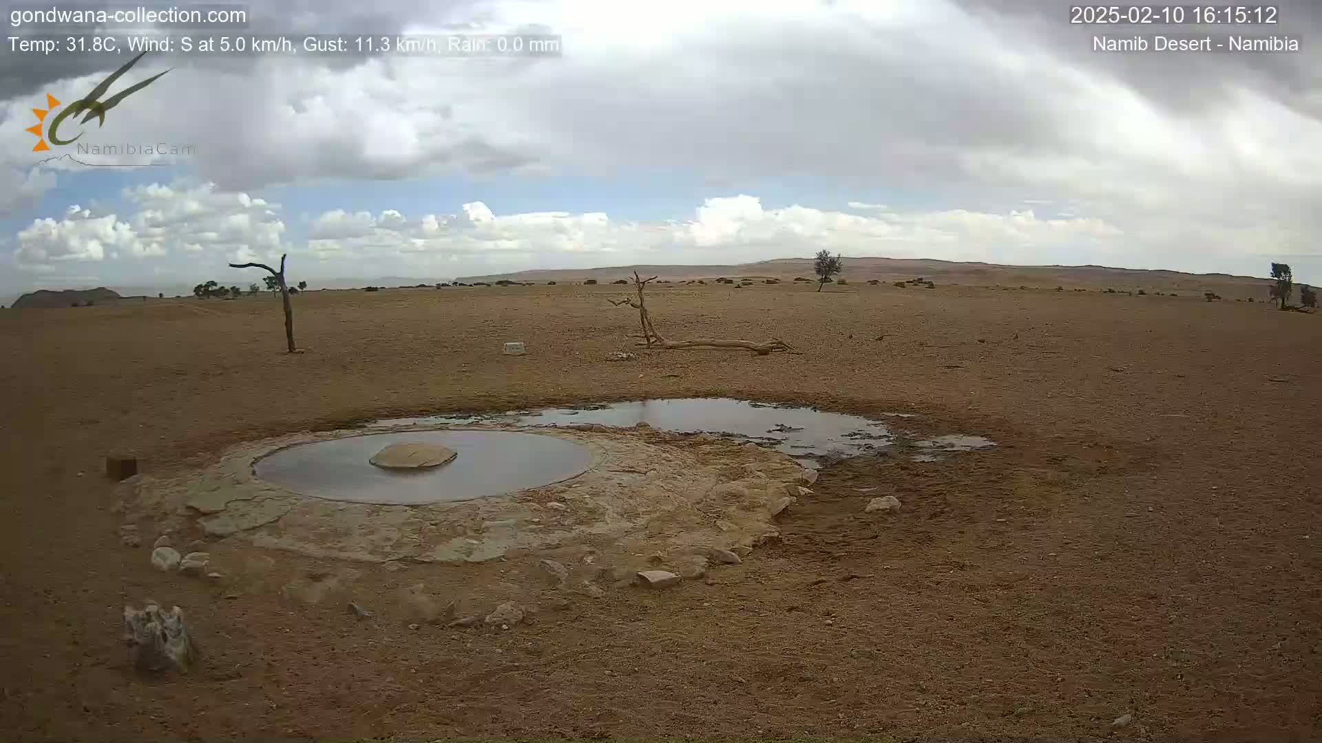 A mostly cloudy day shows a small, shallow pool of water in a dry, sandy desert landscape with sparse vegetation.