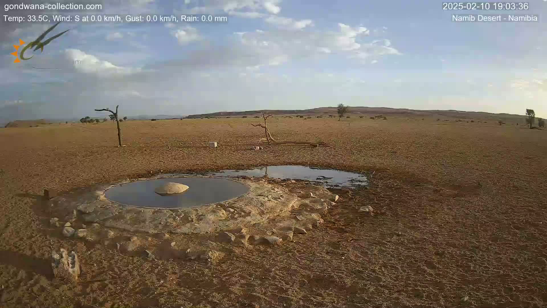A mostly clear, sunny day in a desert landscape shows a small, man-made watering hole surrounded by dry, brown earth and sparse vegetation.