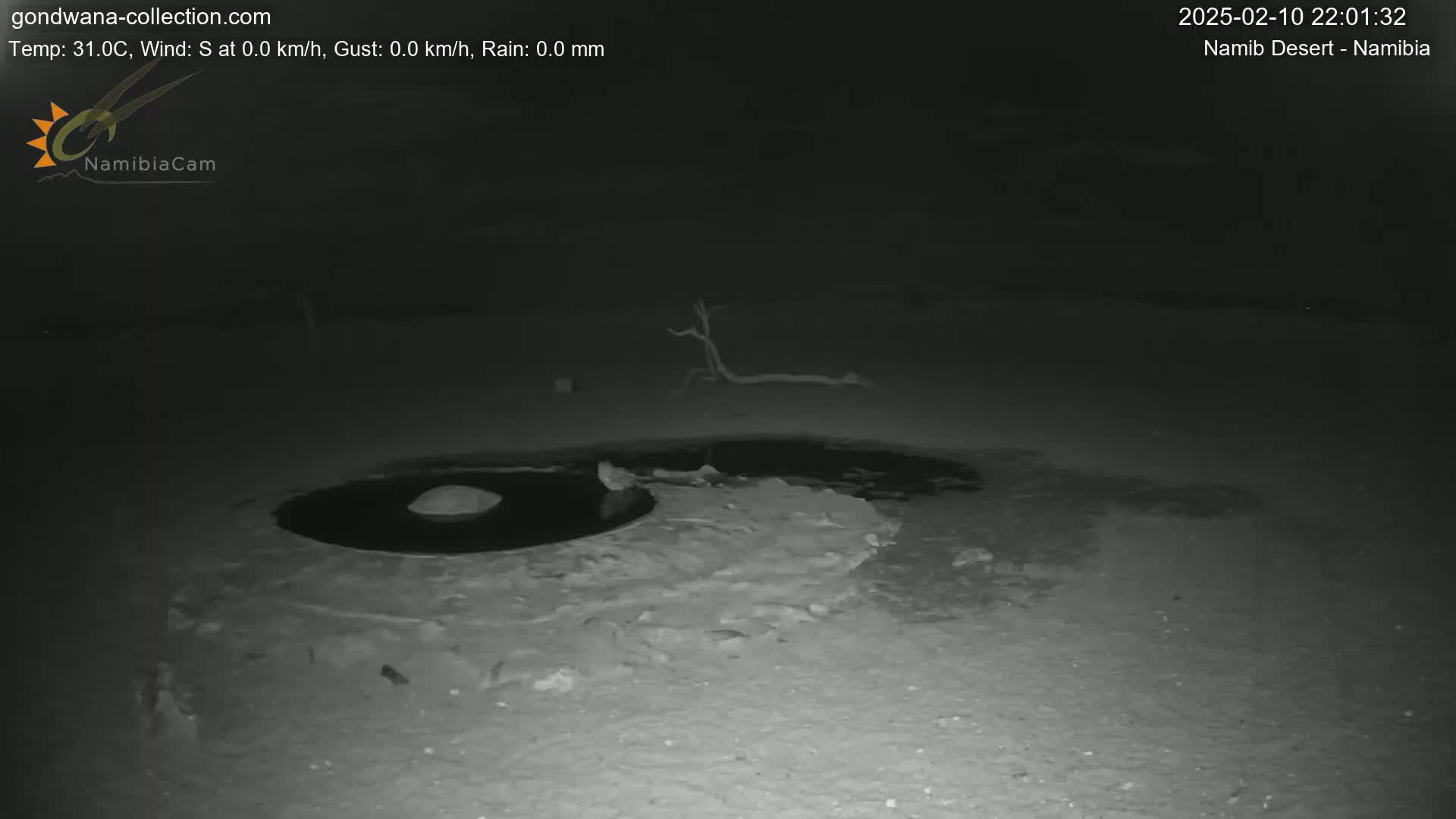 A nighttime, low-light image shows a dark, possibly water-filled, depression in the ground surrounded by light-colored, possibly sandy or rocky, terrain with a dead tree branch in the background.