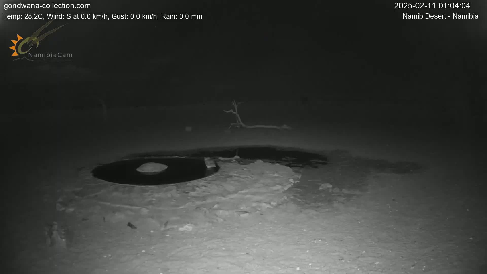 A dark, nighttime scene shows a dark pool of water surrounded by light-colored, uneven ground, with a barren tree branch in the background under a clear sky.