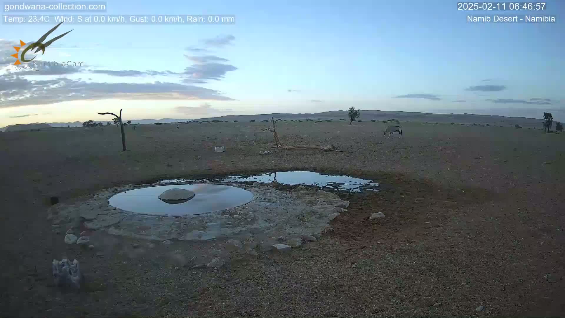 A calm, twilight scene in the Namib Desert shows a circular watering hole with a few animals in the distance under a mostly clear sky.