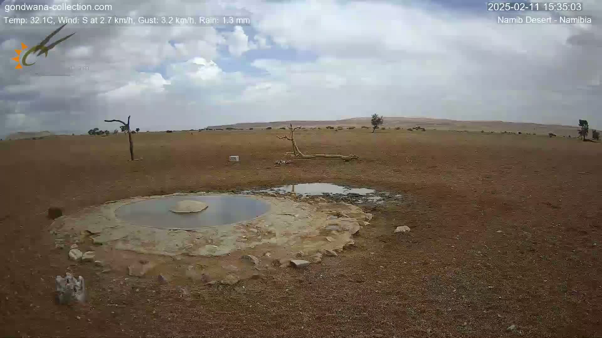 A mostly cloudy, dry desert landscape with a small, shallow pool of water surrounded by rocks, a few scattered dead trees, and some distant animals.