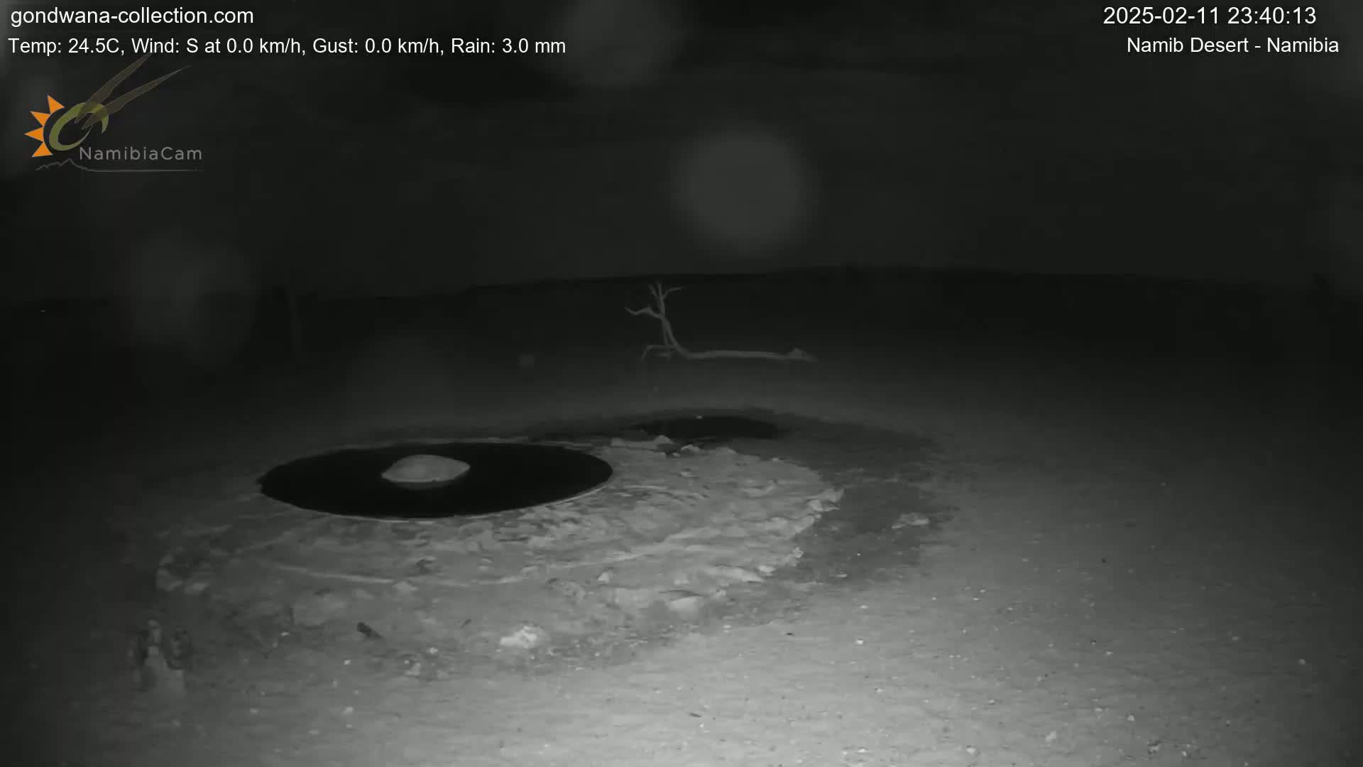 Wild Life in Namib Desert Naukluft National Park Live Cam - Maltahohe, Hardap,  Namibia