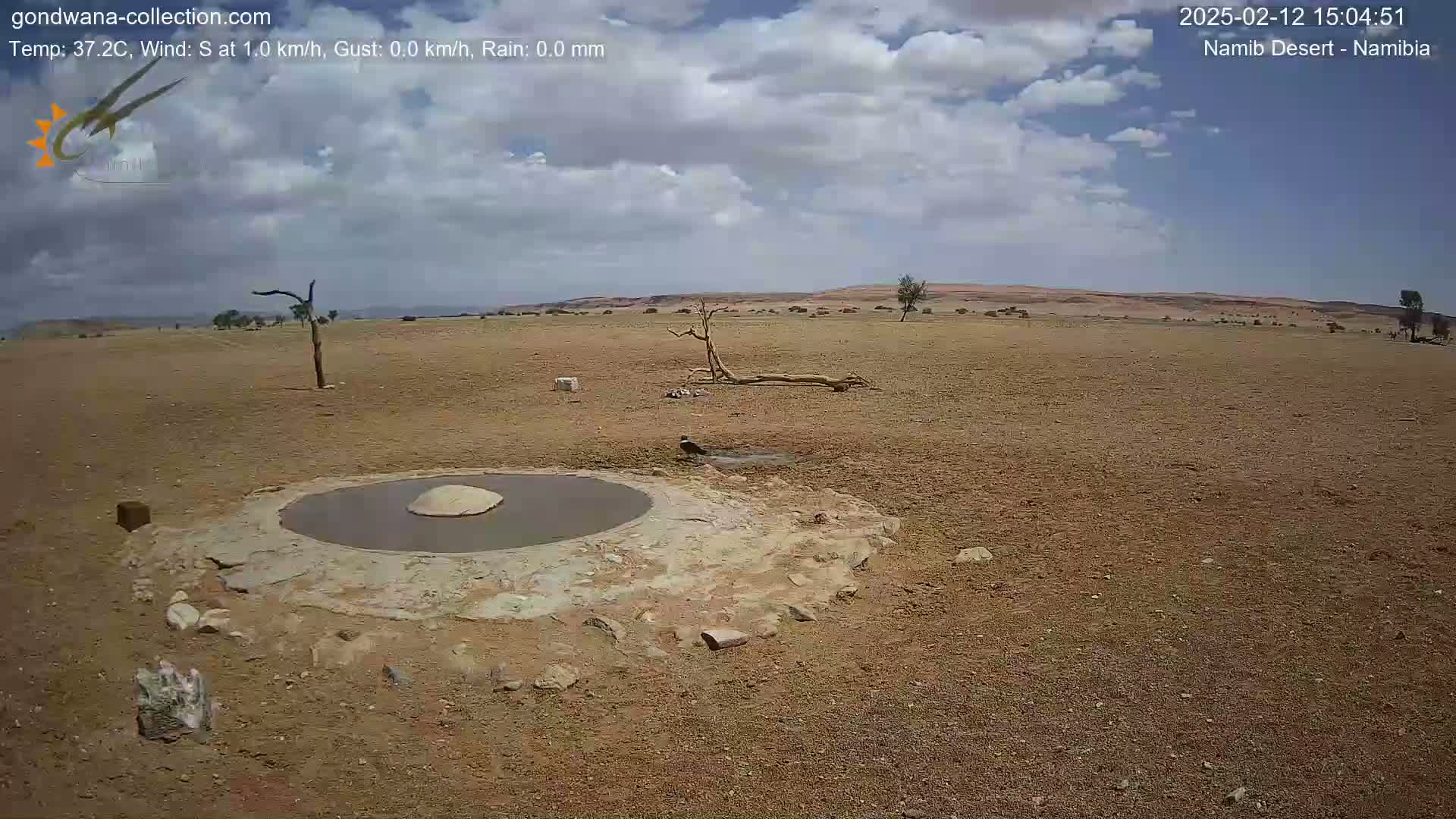 A partly cloudy sky looks down on a dry, arid landscape featuring a small, circular water source surrounded by rocks, a lone bird, and sparse desert vegetation.