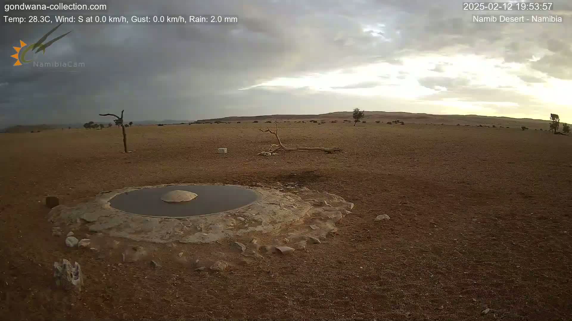 Wild Life in Namib Desert Naukluft National Park Live Cam - Maltahohe, Hardap,  Namibia