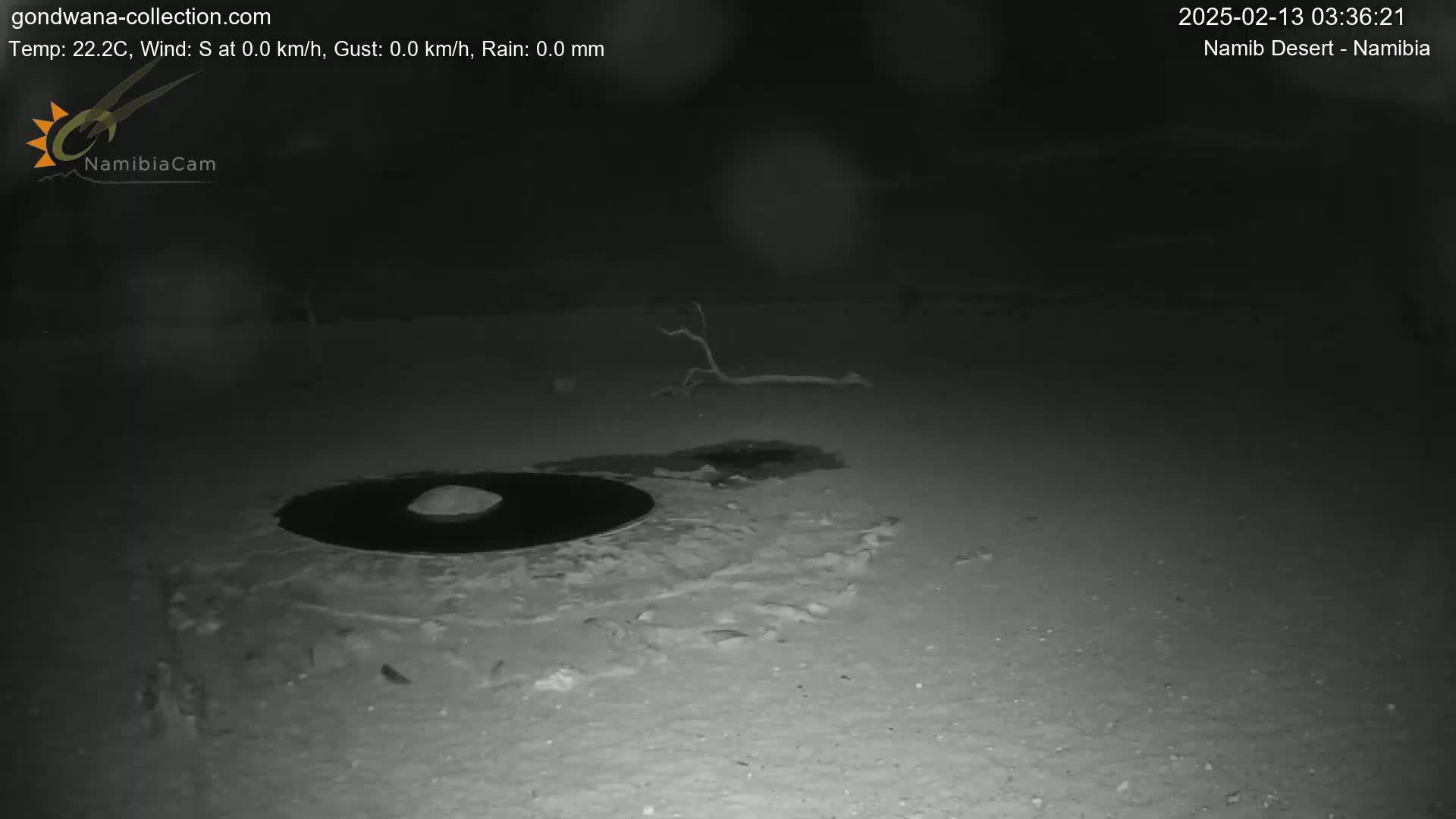 A dark, nighttime desert landscape shows a small, dark, circular puddle next to a fallen branch.