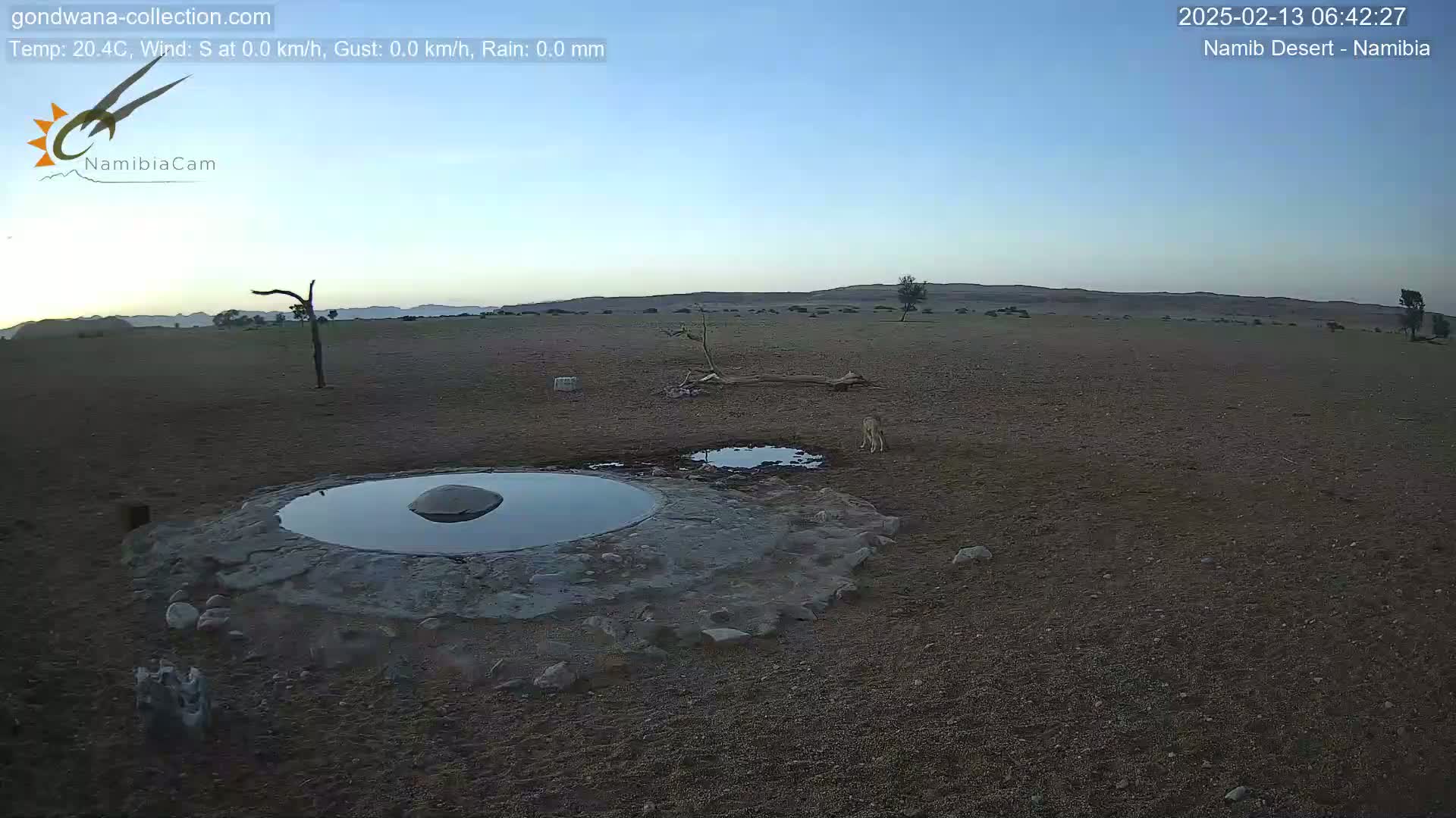 A small animal stands near a circular pool of water in a dry, desert landscape under a clear, pale blue sky.