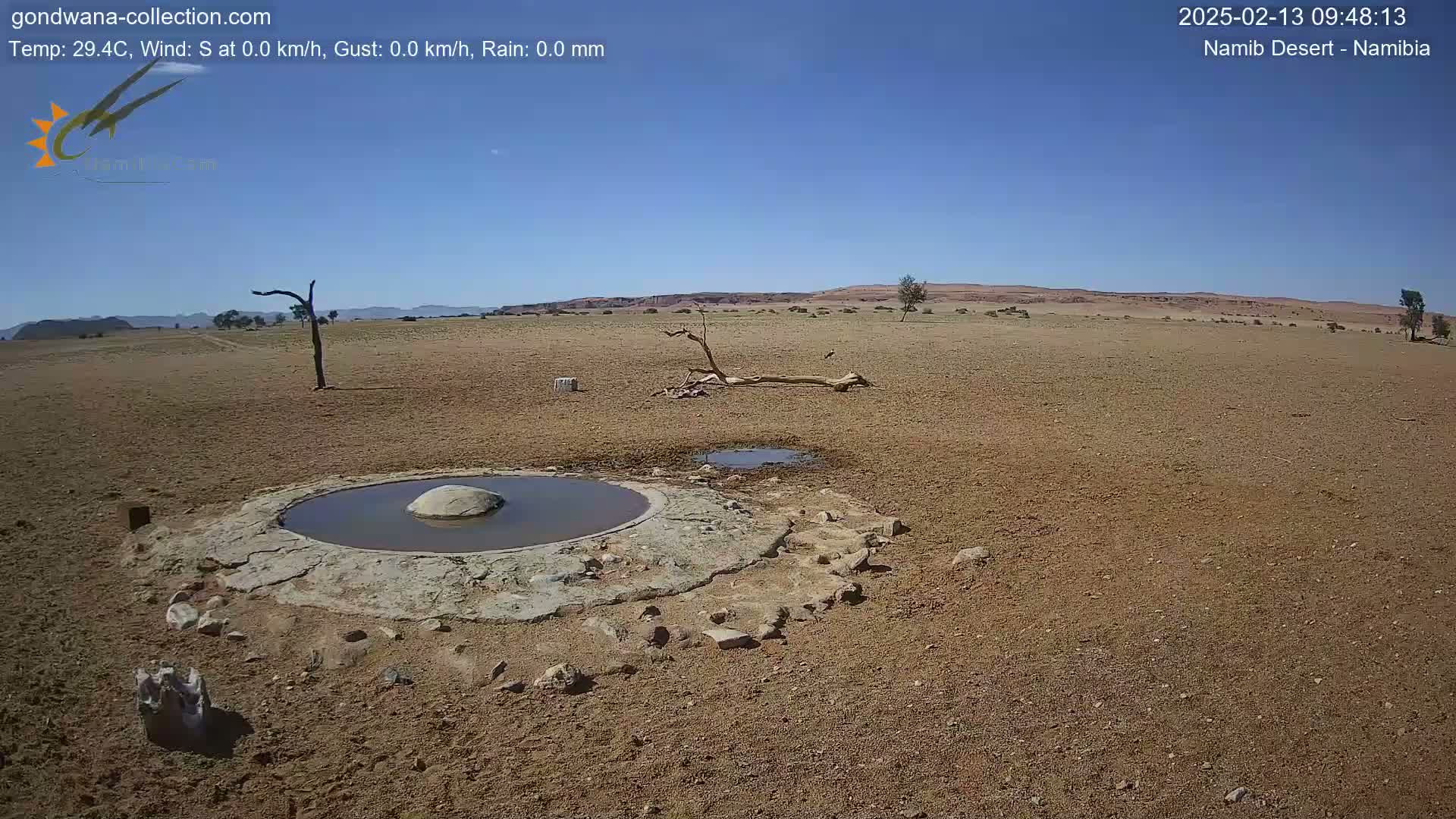A mostly clear, sunny day shows a dry, flat desert landscape with a small, man-made waterhole in the foreground, a few sparse shrubs and trees, and a distant line of low hills.