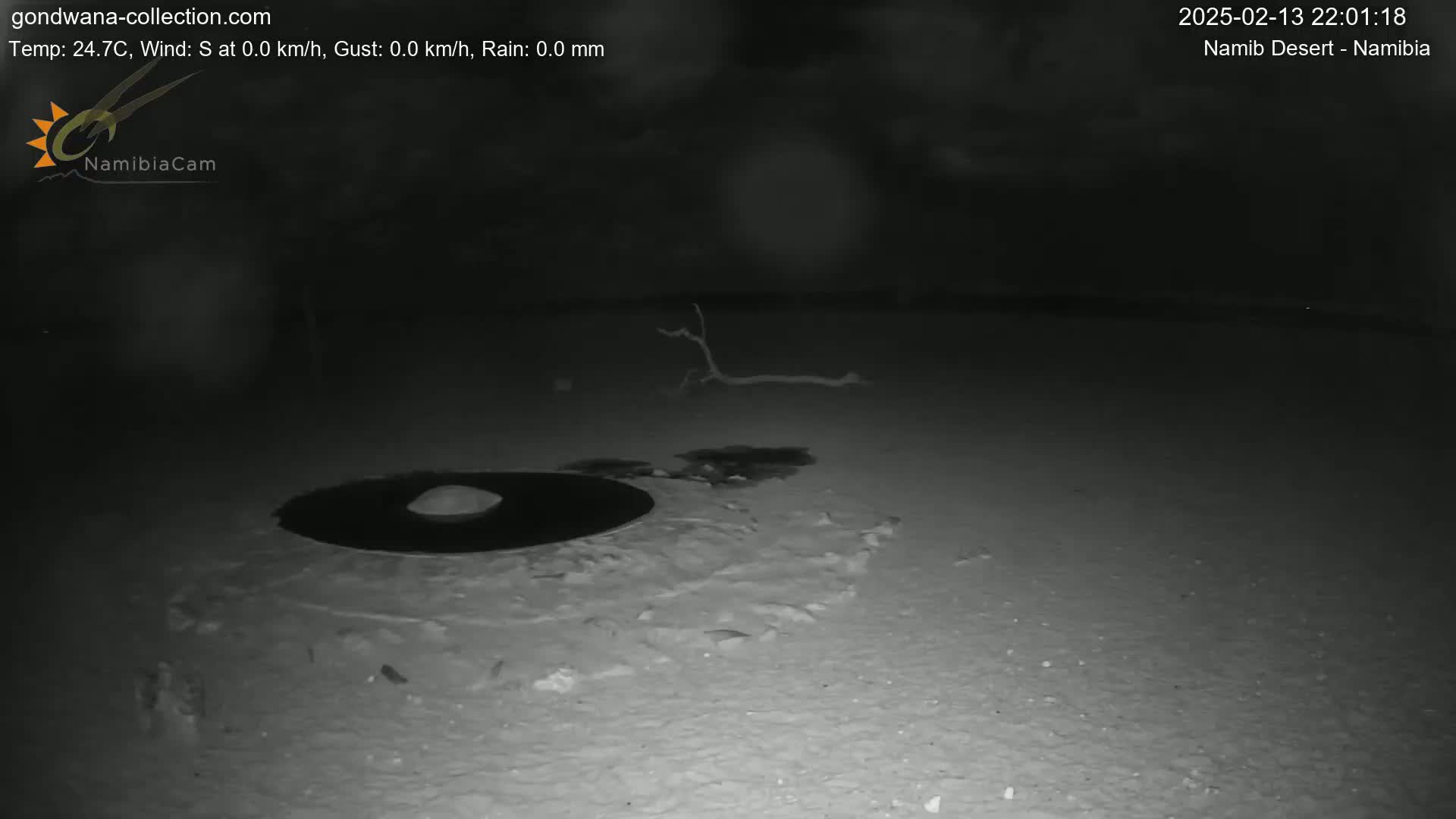 A dark, nighttime scene shows a flat, light-colored expanse of ground with a dark, circular object and a small, fallen branch in the mid-ground.
