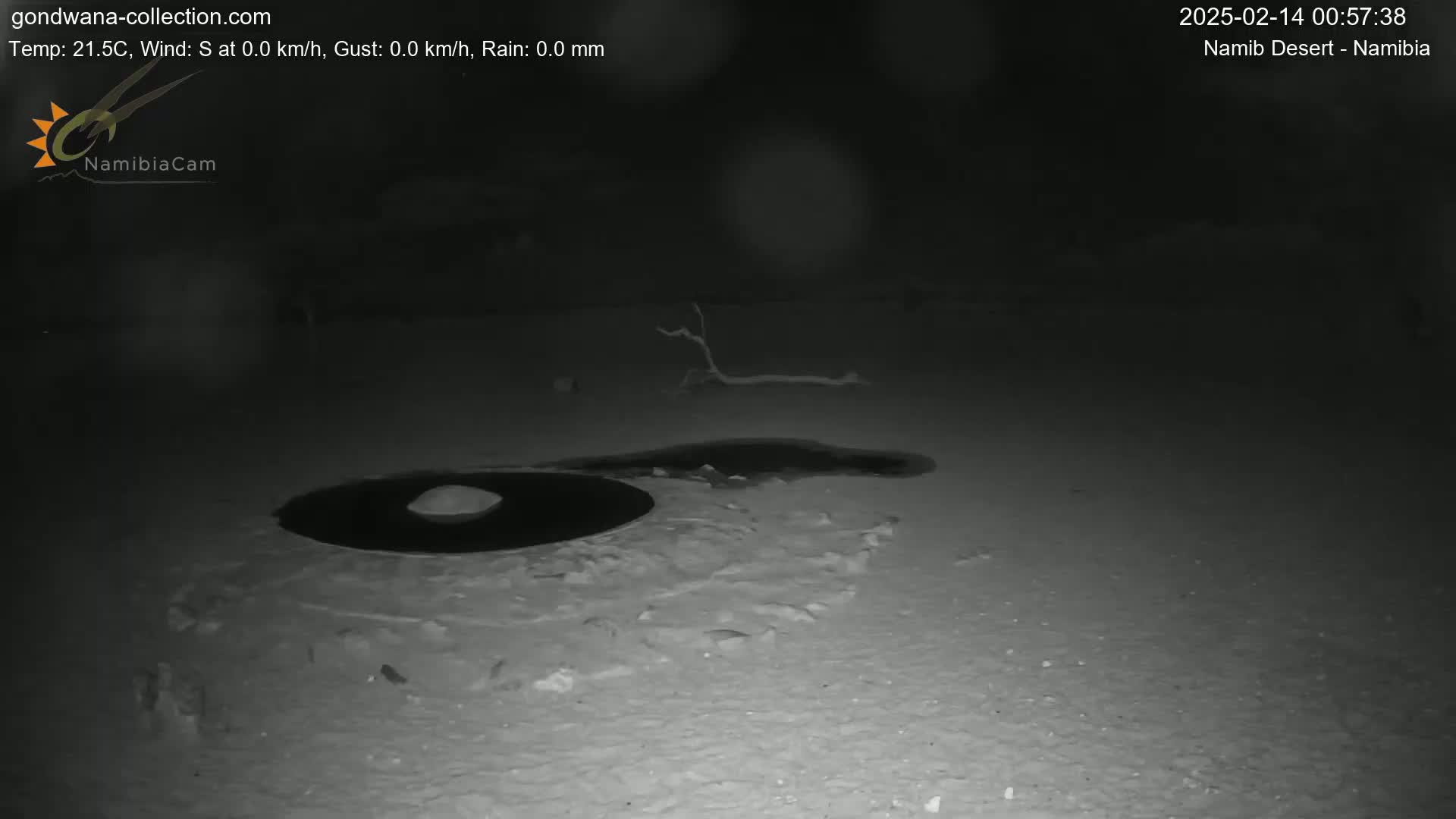 A dark, nighttime scene shows a small, dark, circular puddle of water on light-colored ground, with a small branch lying nearby.