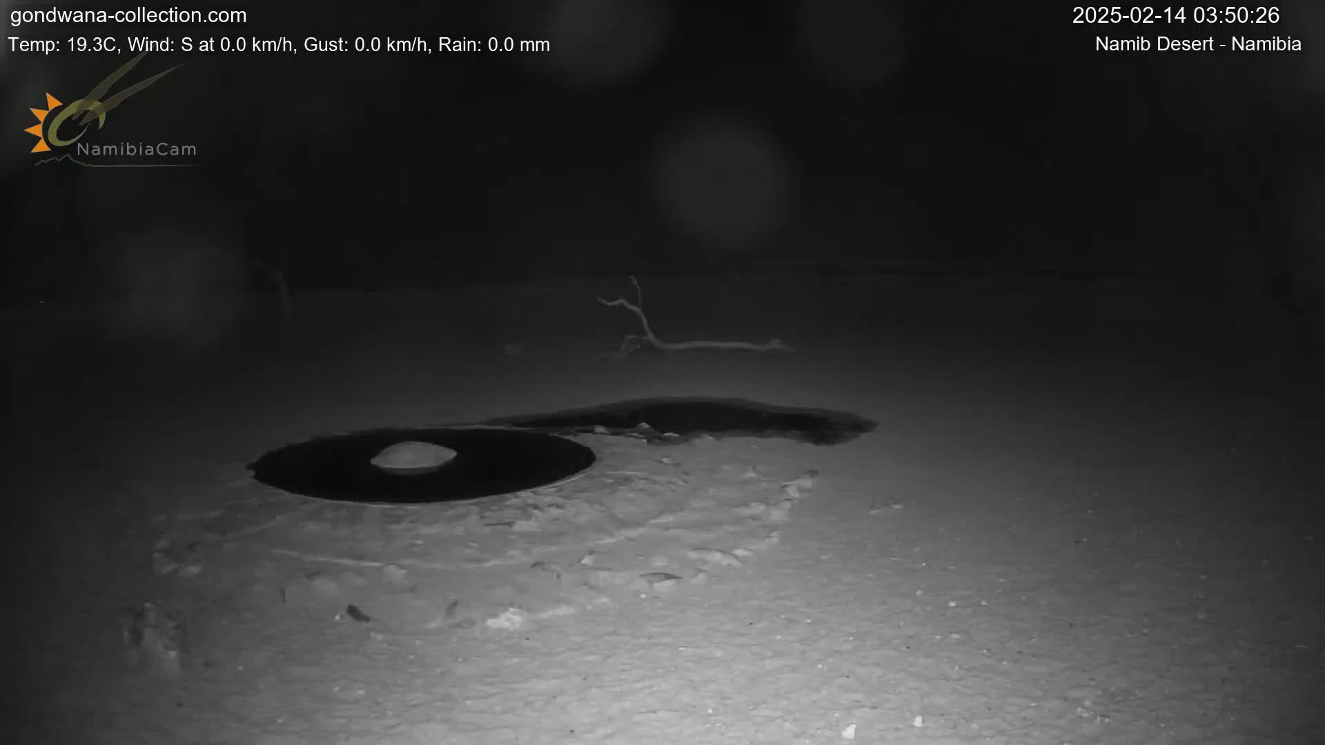 A dark, nighttime scene shows a small, dark pool of water surrounded by light-colored sand or snow, with a small, bare branch lying nearby.