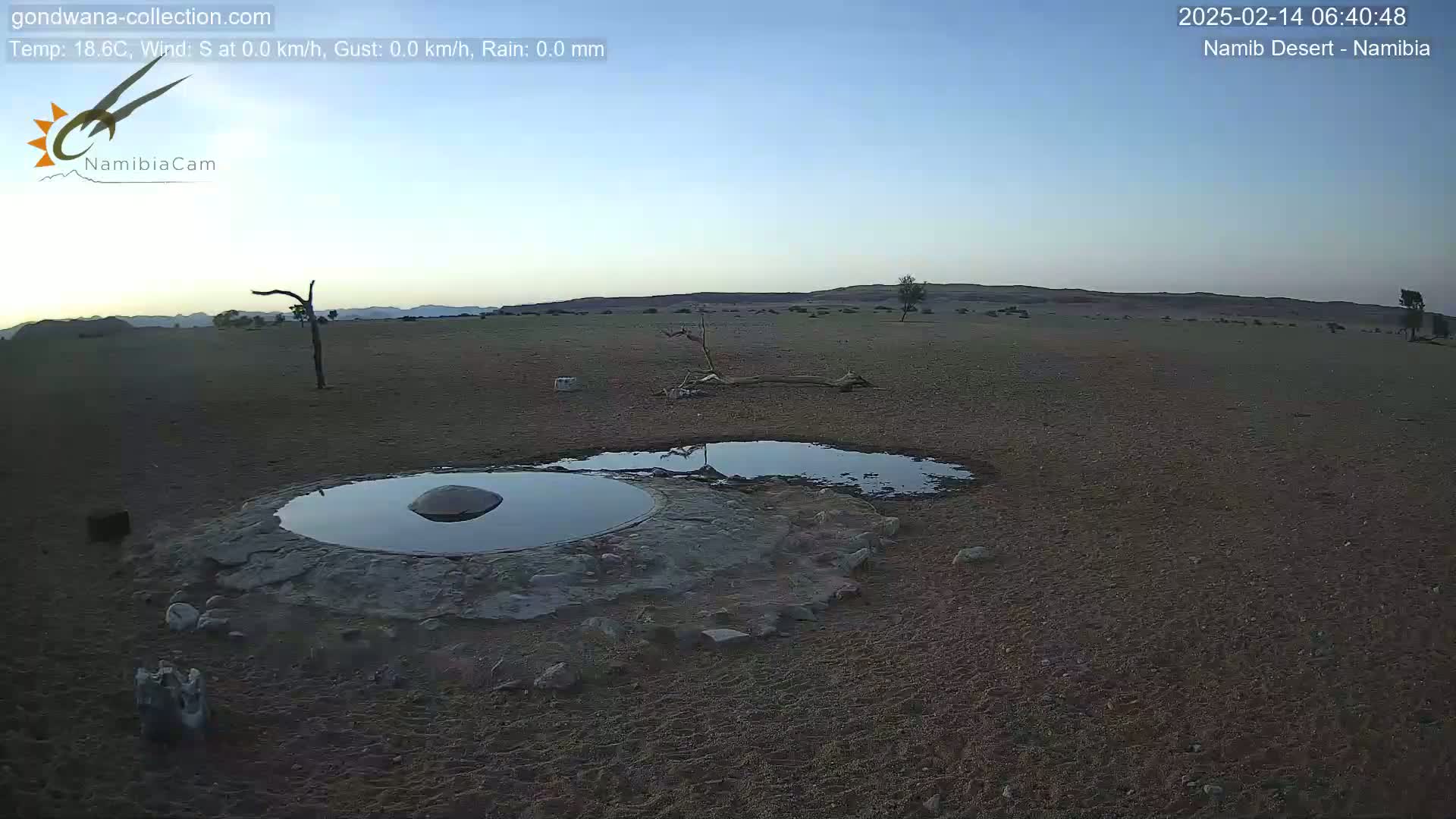 A small, rocky pool of water sits in a dry, sandy desert landscape under a clear, twilight sky.