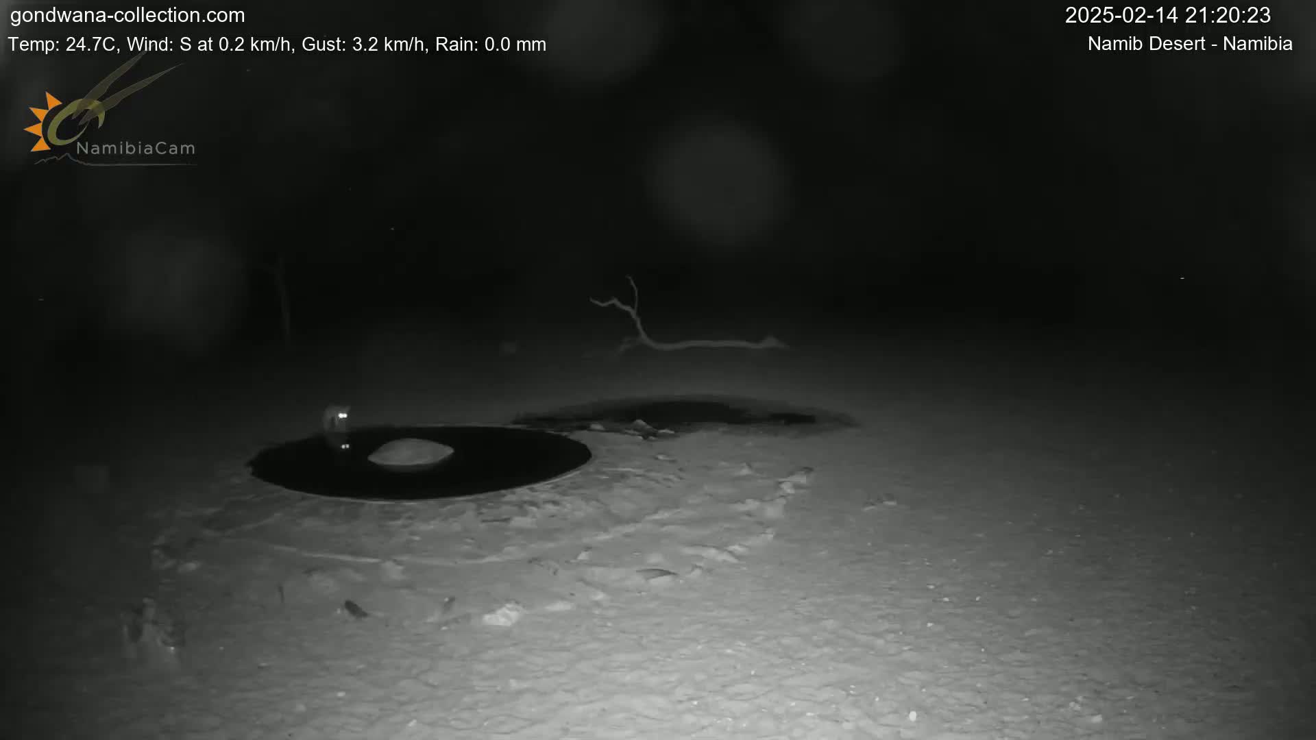 A dark, nighttime scene shows a small, dark, possibly wet patch of ground with a small mound and a dark object, possibly a puddle, nearby; a small branch lies on the ground in the background under a clear, dark sky.