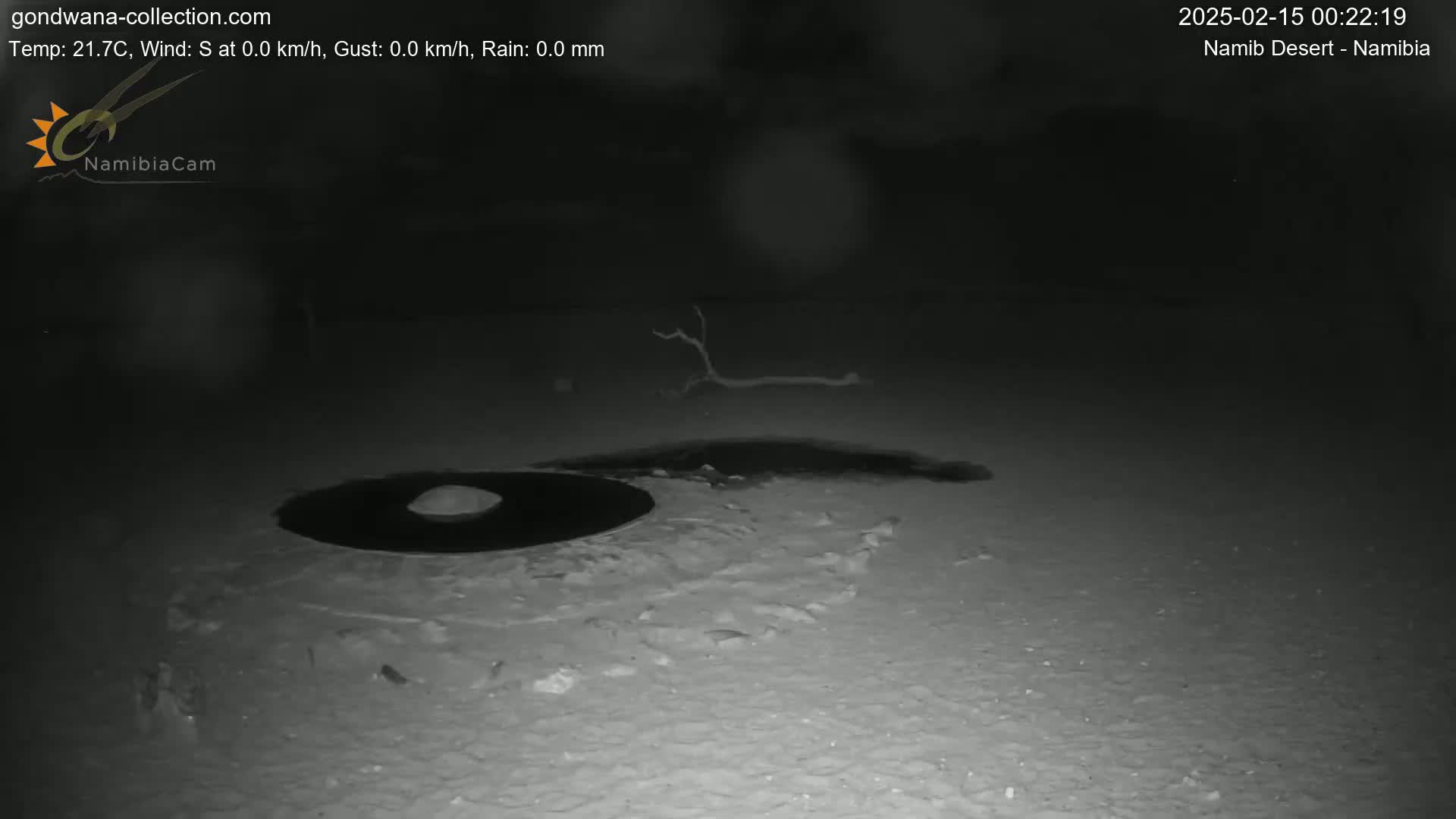 A dark, nighttime scene shows a circular, dark patch of ground next to a small, bare branch on light-colored sand.