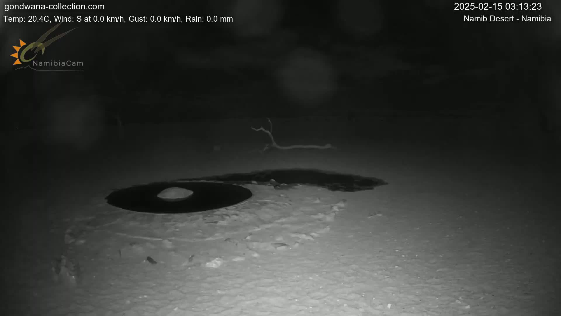 A dark, nighttime scene shows a small, dark puddle of water near a small mound of earth with a thin, dry branch lying nearby.