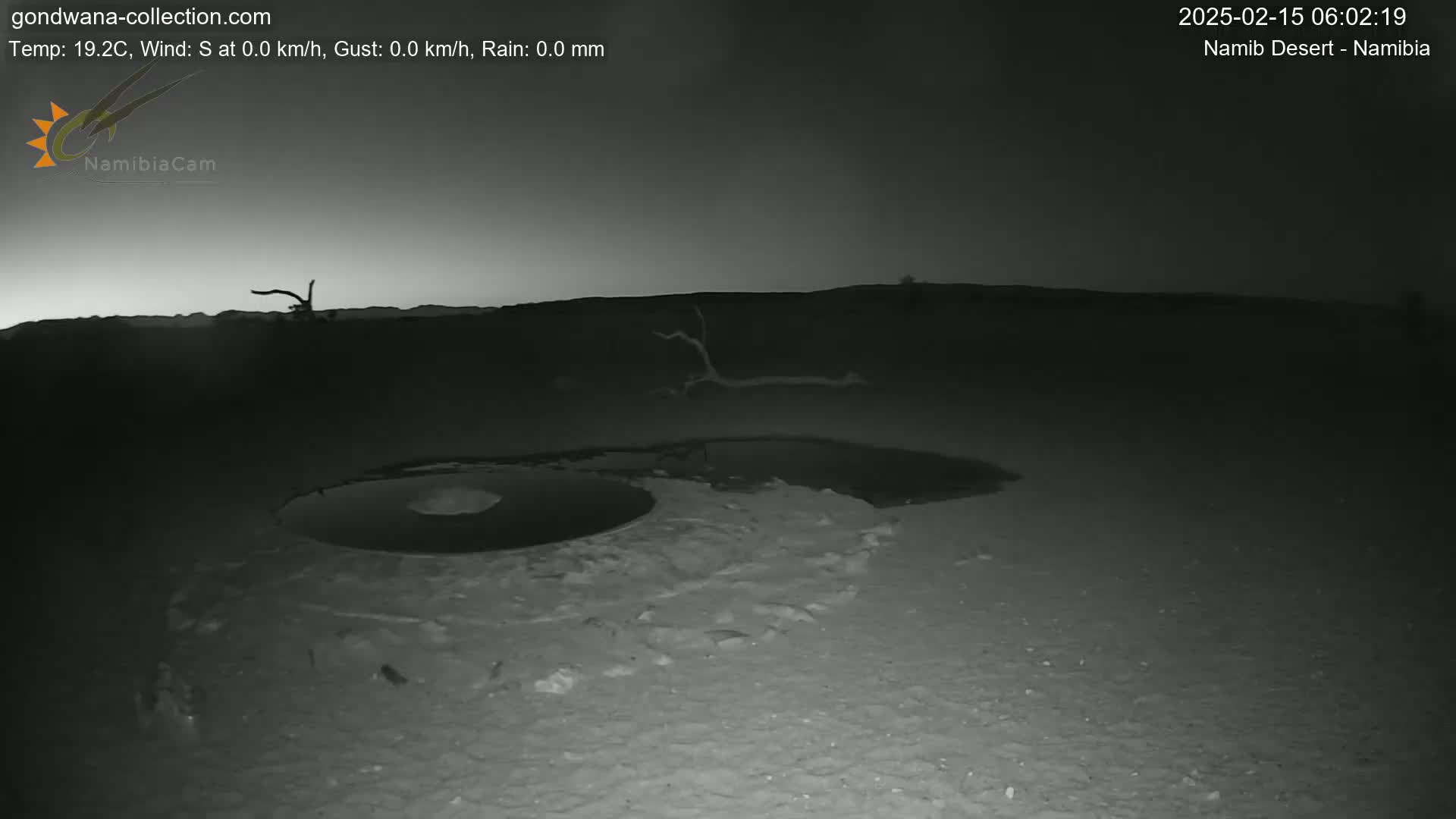 A dark, nighttime scene in the Namib Desert shows a shallow, dark pool of water near a circular depression in the sand, with a dead branch visible in the background under a clear, dark sky.