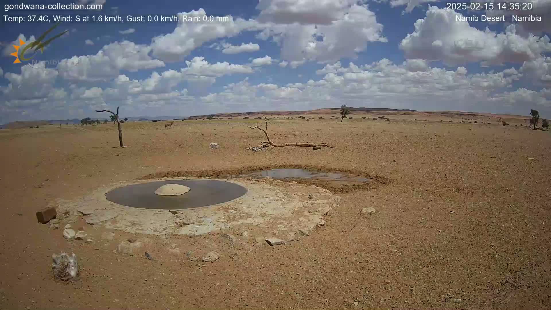 A mostly sunny desert landscape with a few scattered clouds shows a small, shallow water source surrounded by dry, sandy earth and sparse vegetation.