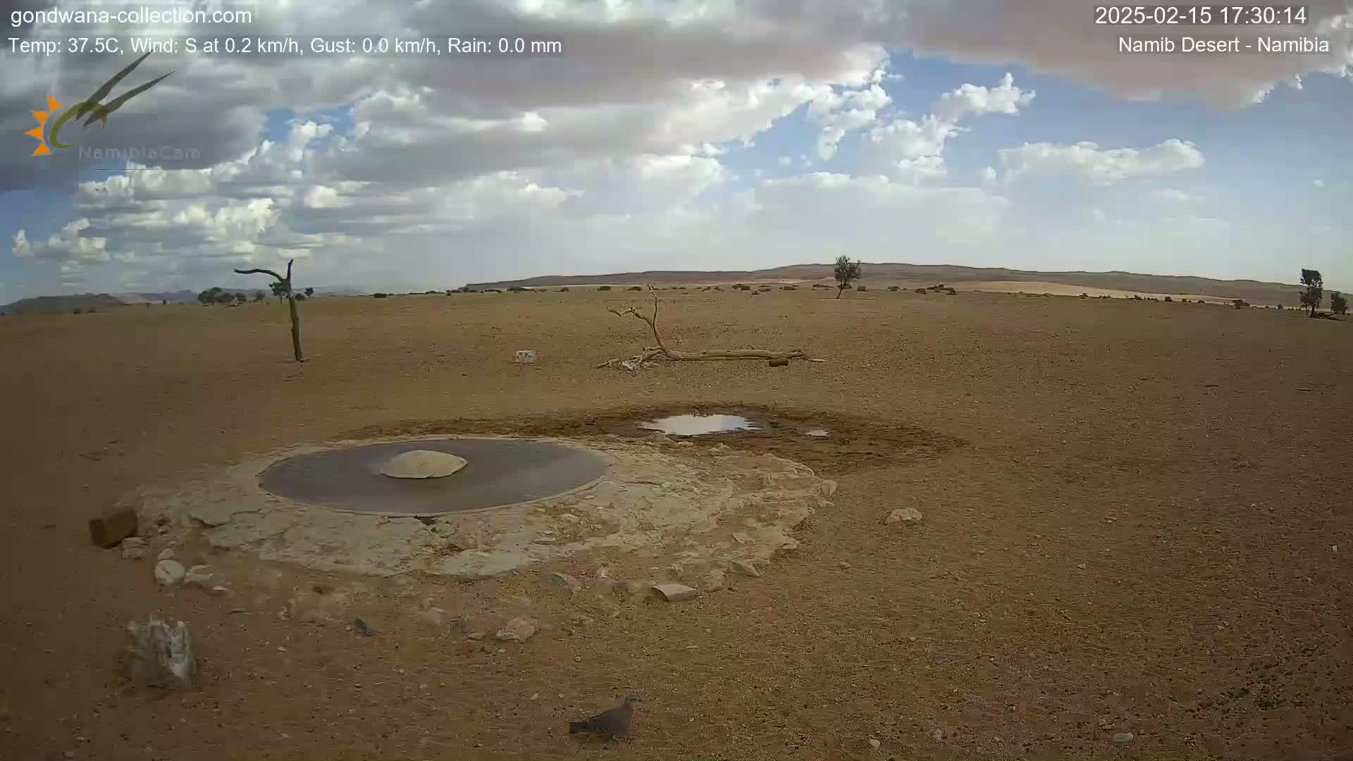 A mostly sunny, arid landscape with sparse vegetation, a bird near a water source, and a circular structure in the foreground.