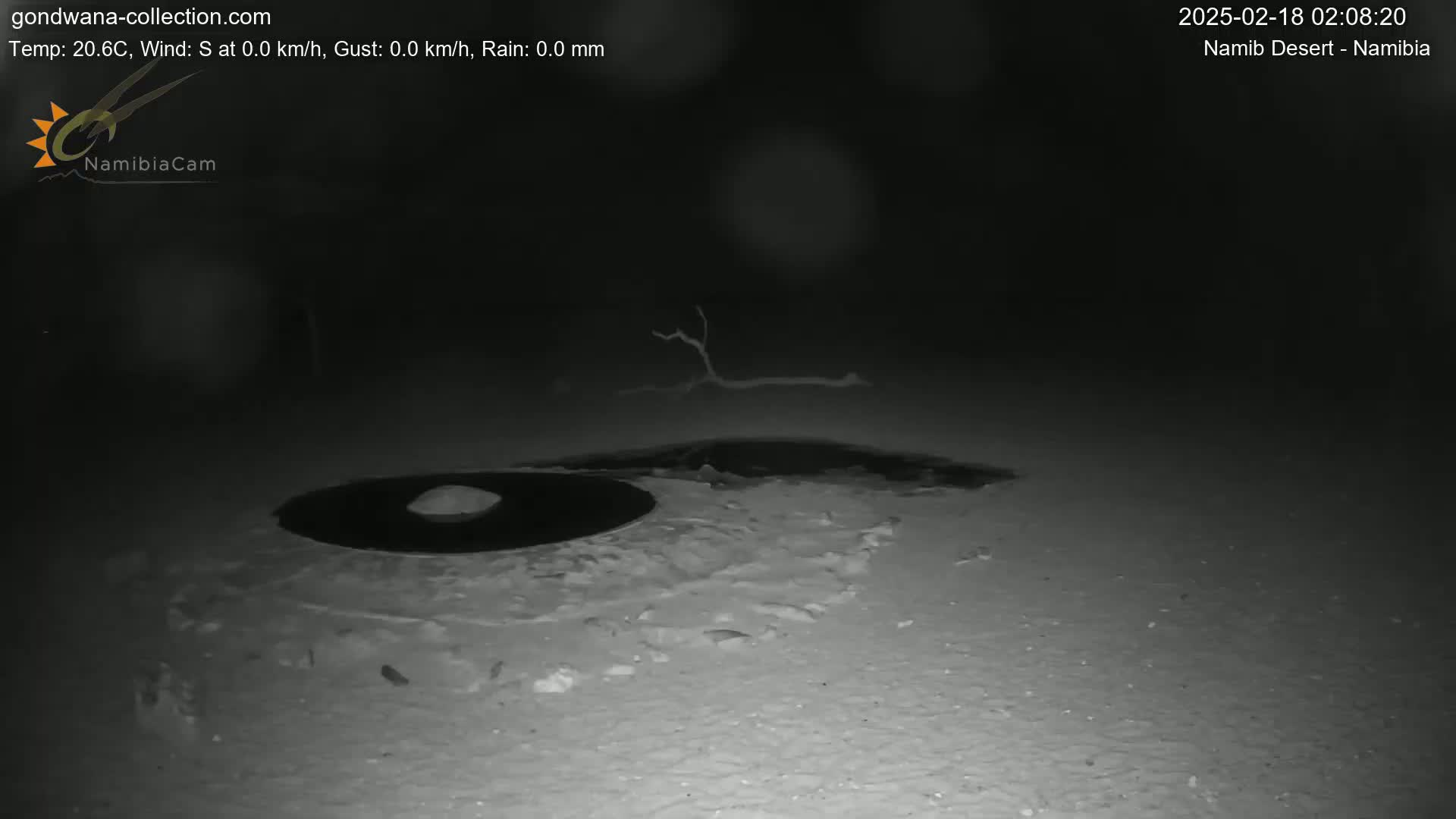 A dark, nighttime scene shows a small, dark, possibly wet area on a light-colored, sandy surface with a small, dark branch in the background.