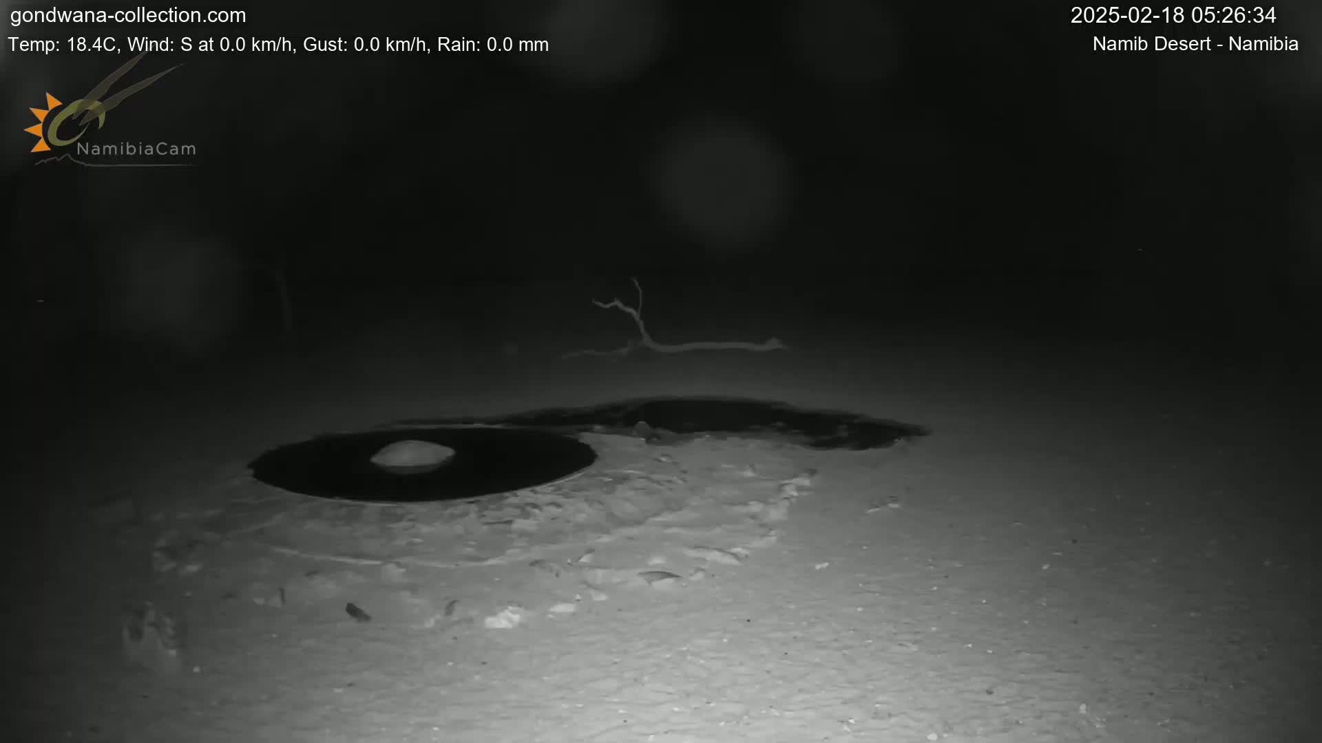 A dark, nighttime scene shows a dark, circular pool of water surrounded by a lighter-colored, sandy or snowy surface, with a small, dark branch in the background.