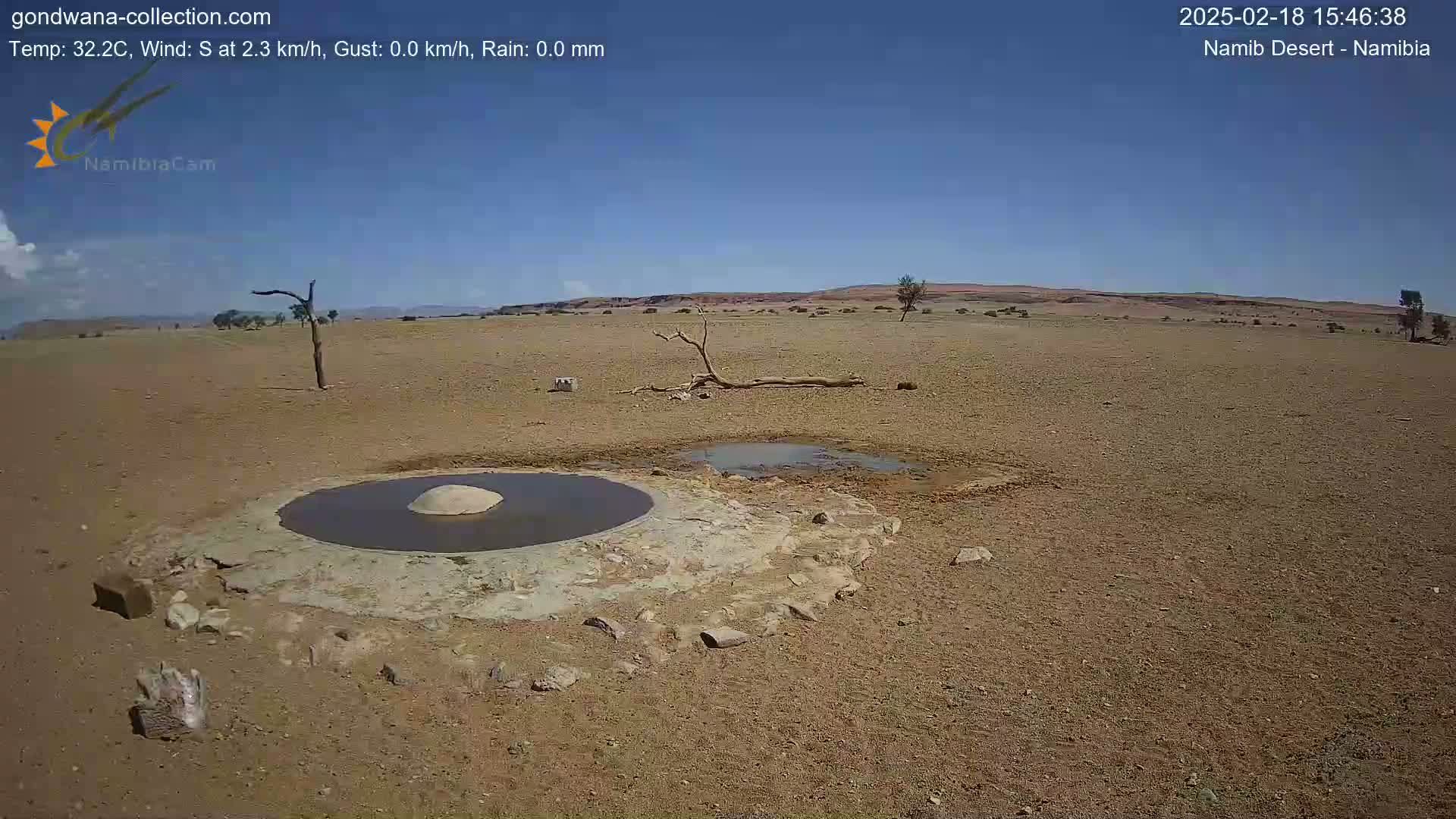 A mostly clear, sunny day in a desert landscape shows a small, circular waterhole surrounded by dry, sandy ground and a few scattered trees and shrubs.