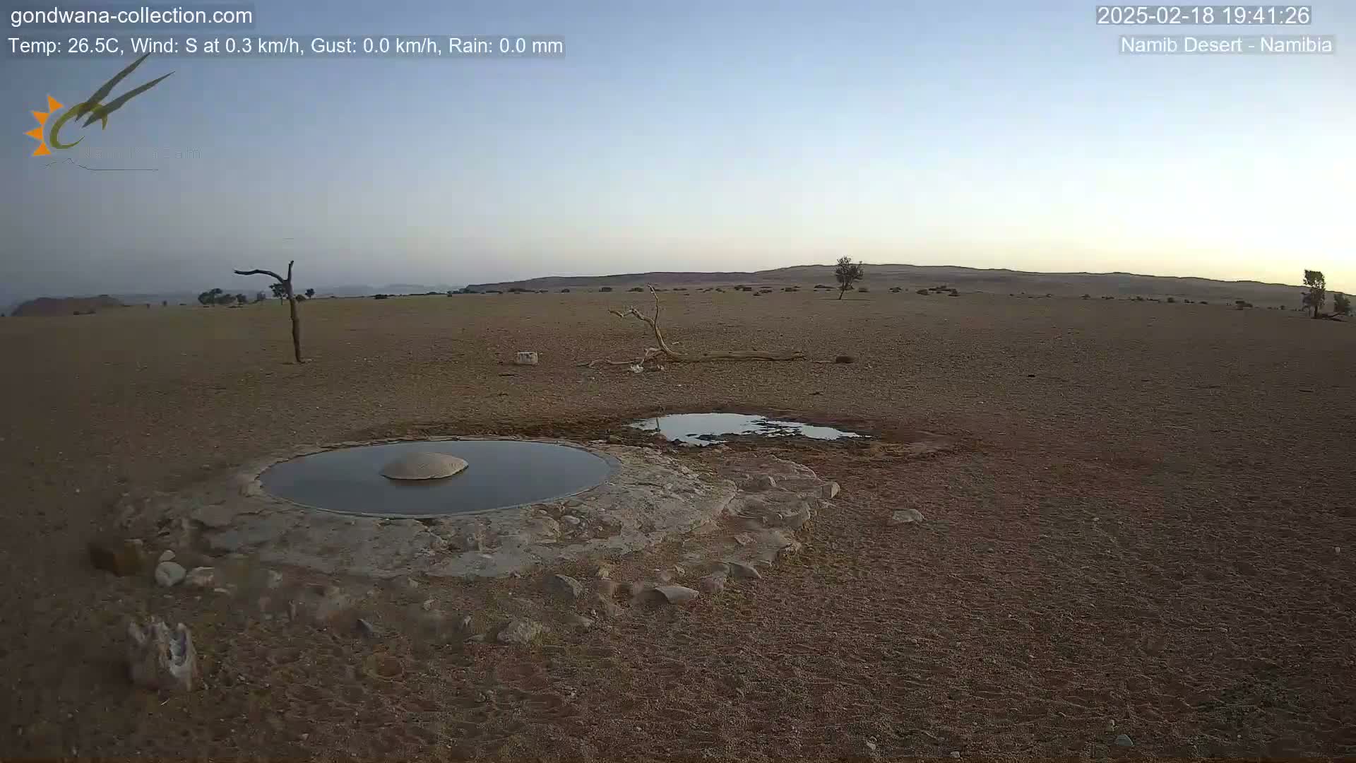 A desert landscape under a clear, light-blue sky shows a man-made waterhole and a small, muddy puddle in the arid, sandy ground with sparse vegetation.