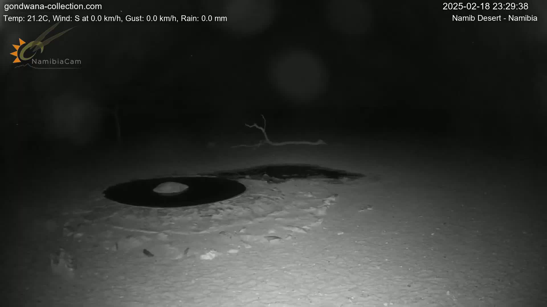 A dark, nighttime scene shows a circular, dark area on a light-colored, possibly snowy or sandy surface, with a small, dead tree branch visible in the background under a clear sky.
