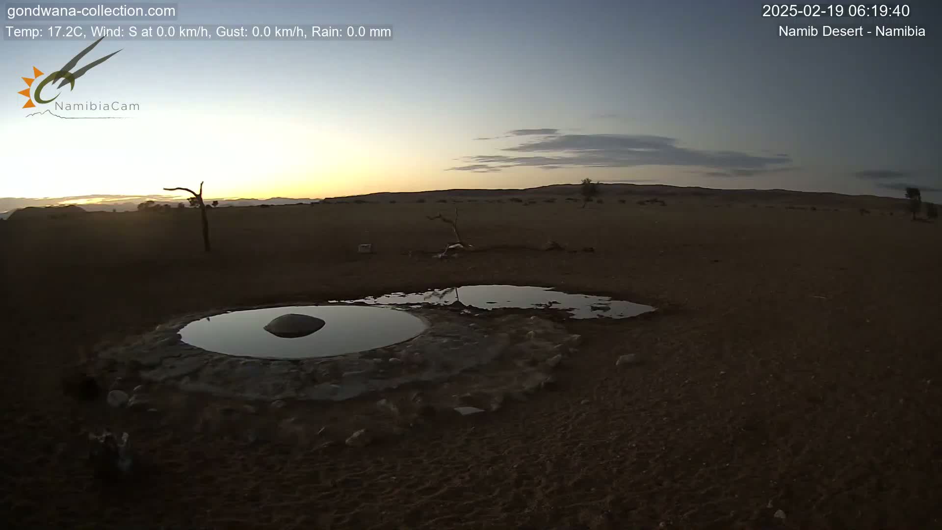A small, circular pool of water sits in a desert landscape at sunrise, with a few scattered small animals and sparse vegetation visible.