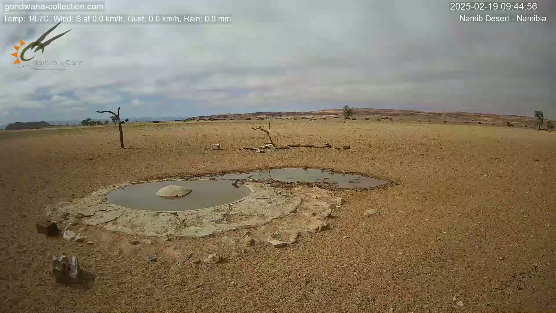 A mostly cloudy, arid desert landscape features a small, shallow pool of water near a few dead trees.